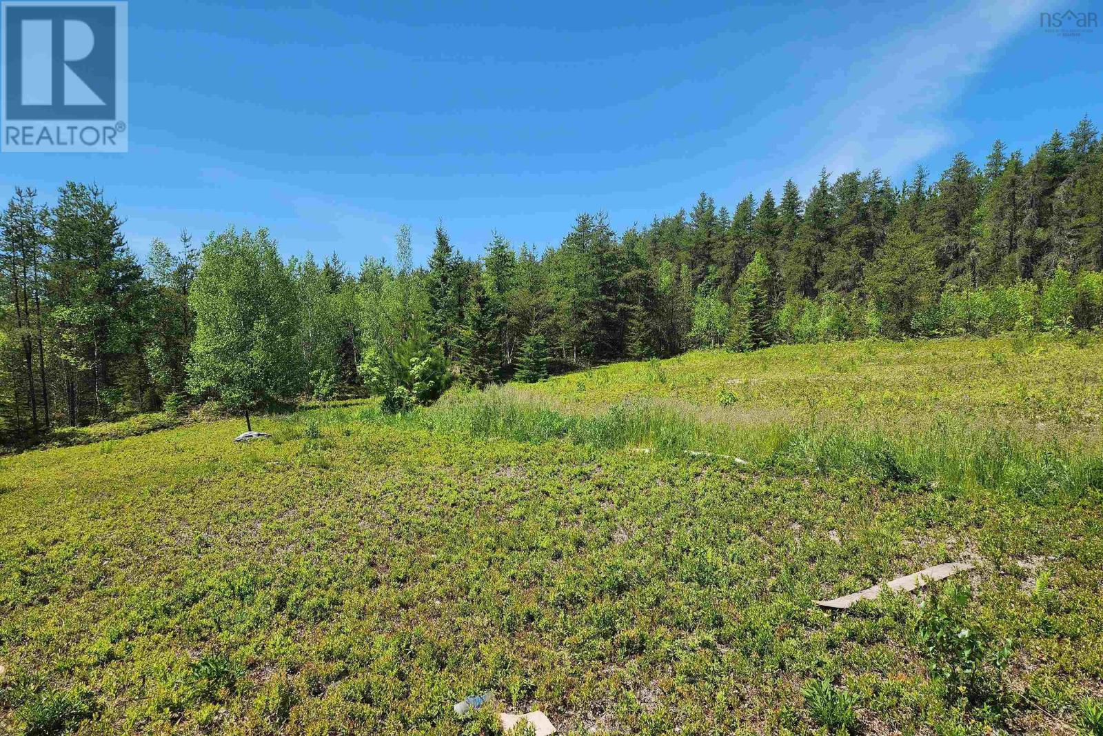 342 Reid Settlement Road, Salt Springs, Nova Scotia  B0M 1X0 - Photo 2 - 202614569