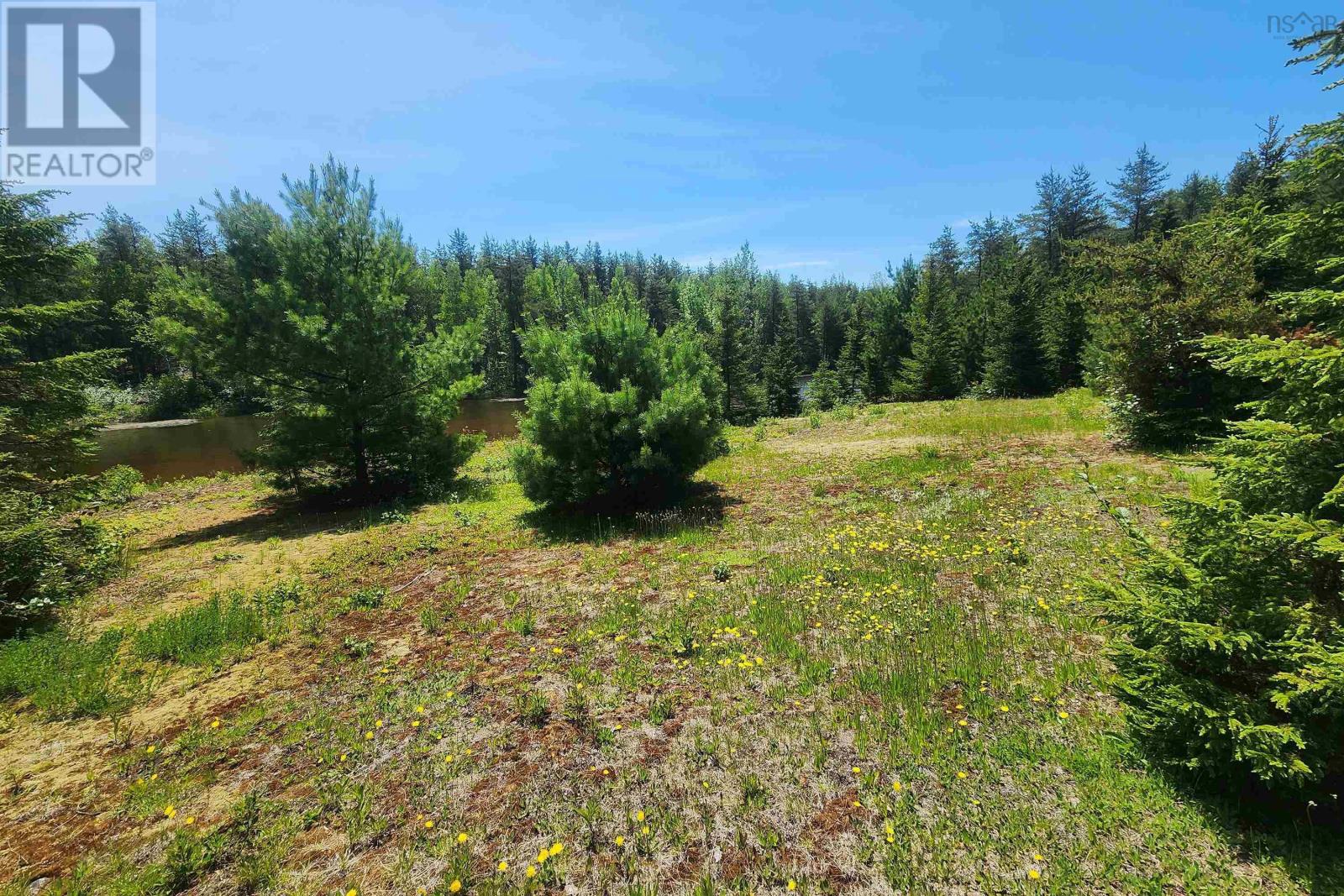 342 Reid Settlement Road, Salt Springs, Nova Scotia  B0M 1X0 - Photo 22 - 202614569