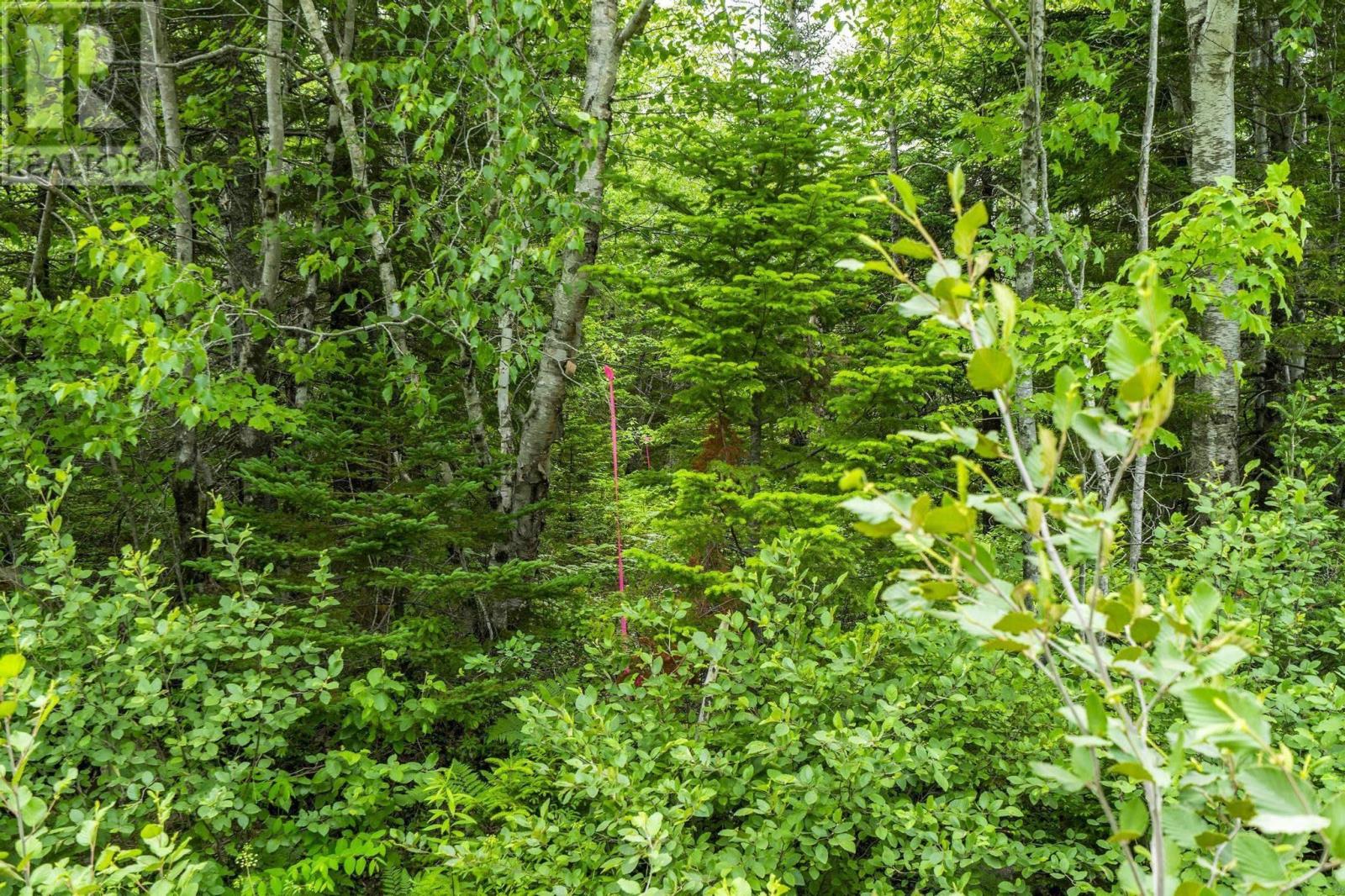 Lot 6 Old Yarmouth Road, Weymouth Falls, Nova Scotia  B0W 3T0 - Photo 3 - 202614756
