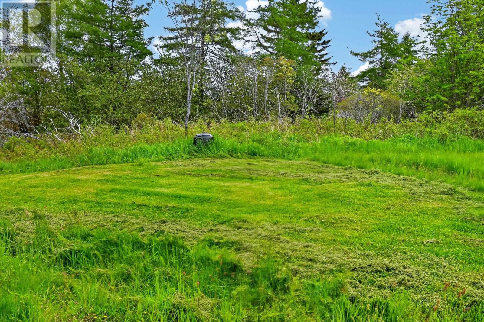 50 Riverview Drive, River Bourgeois, Nova Scotia  B0E 2X0 - Photo 45 - 202614797