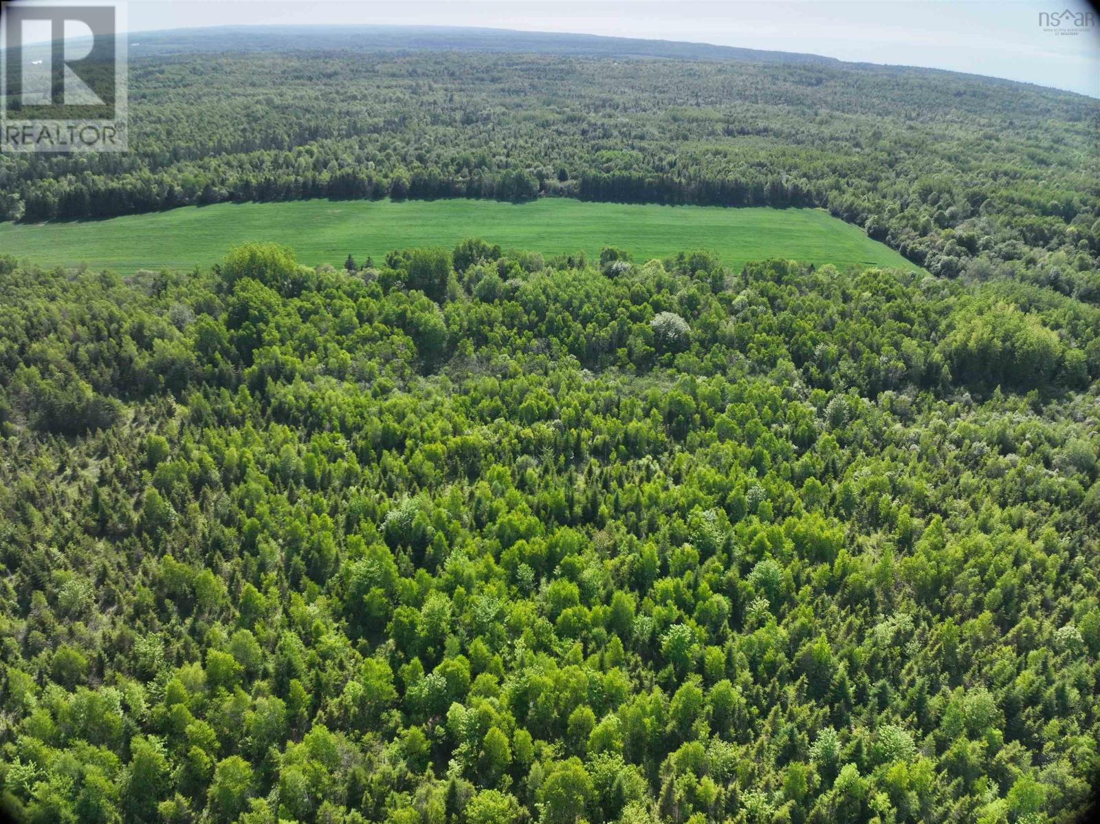 Lot 5 Baxters Harbour Road, Glenmont, Nova Scotia  B0P 1H0 - Photo 4 - 202615080