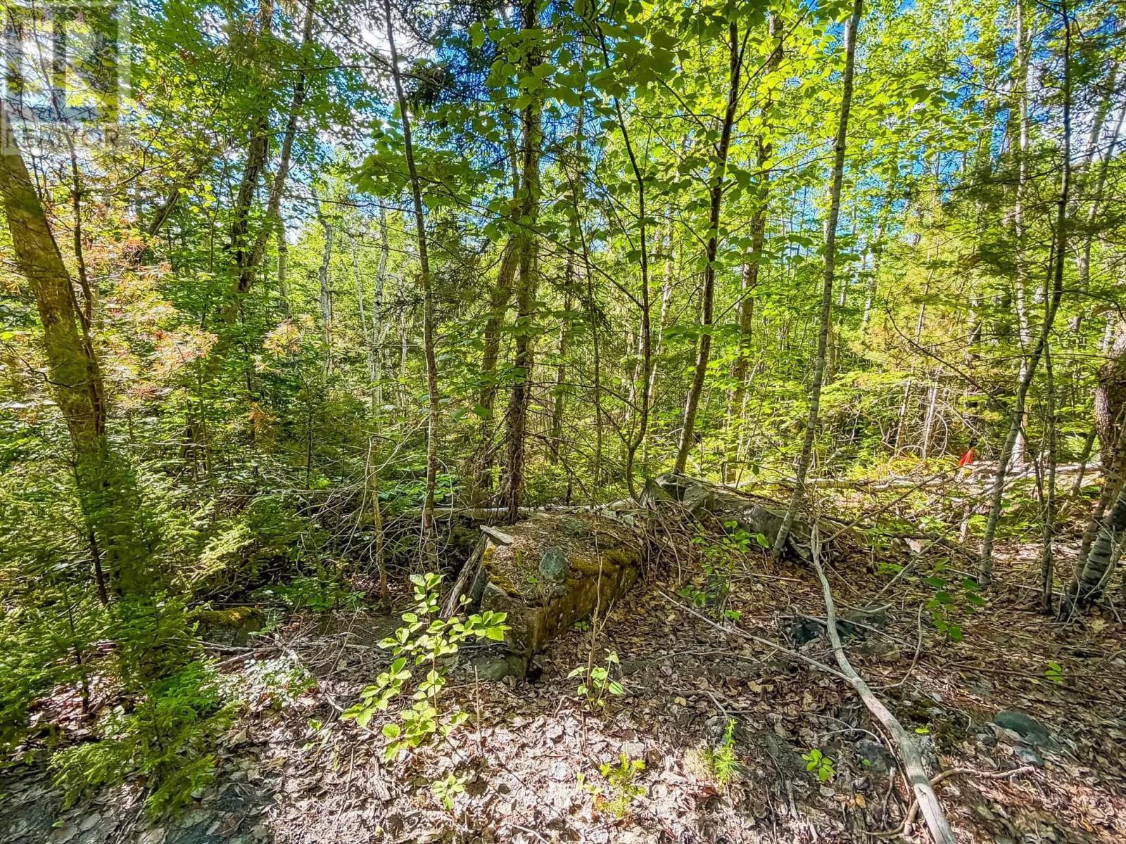 Lot (Pid 70126610) Ponhook Shore Road, Labelle, Nova Scotia  B0J 2E0 - Photo 3 - 202615170