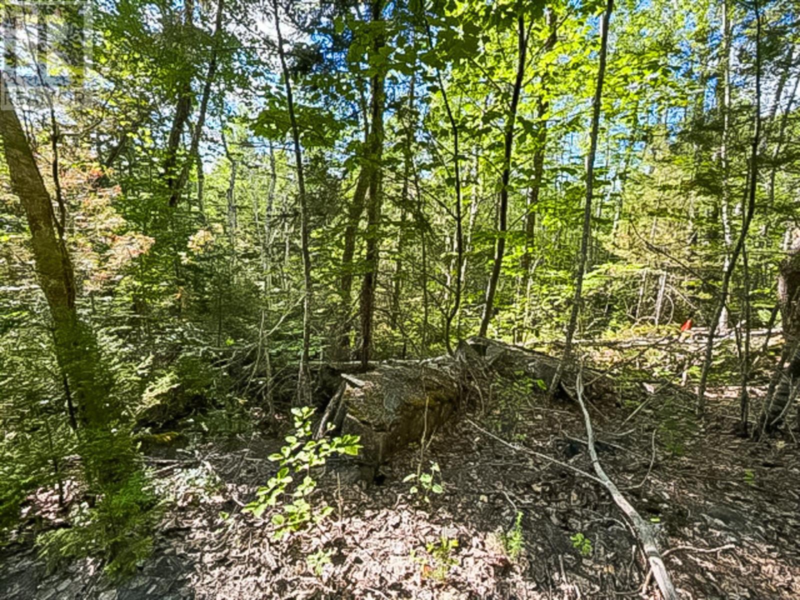 Lot (Pid 70126610) Ponhook Shore Road, Labelle, Nova Scotia  B0J 2E0 - Photo 5 - 202615170