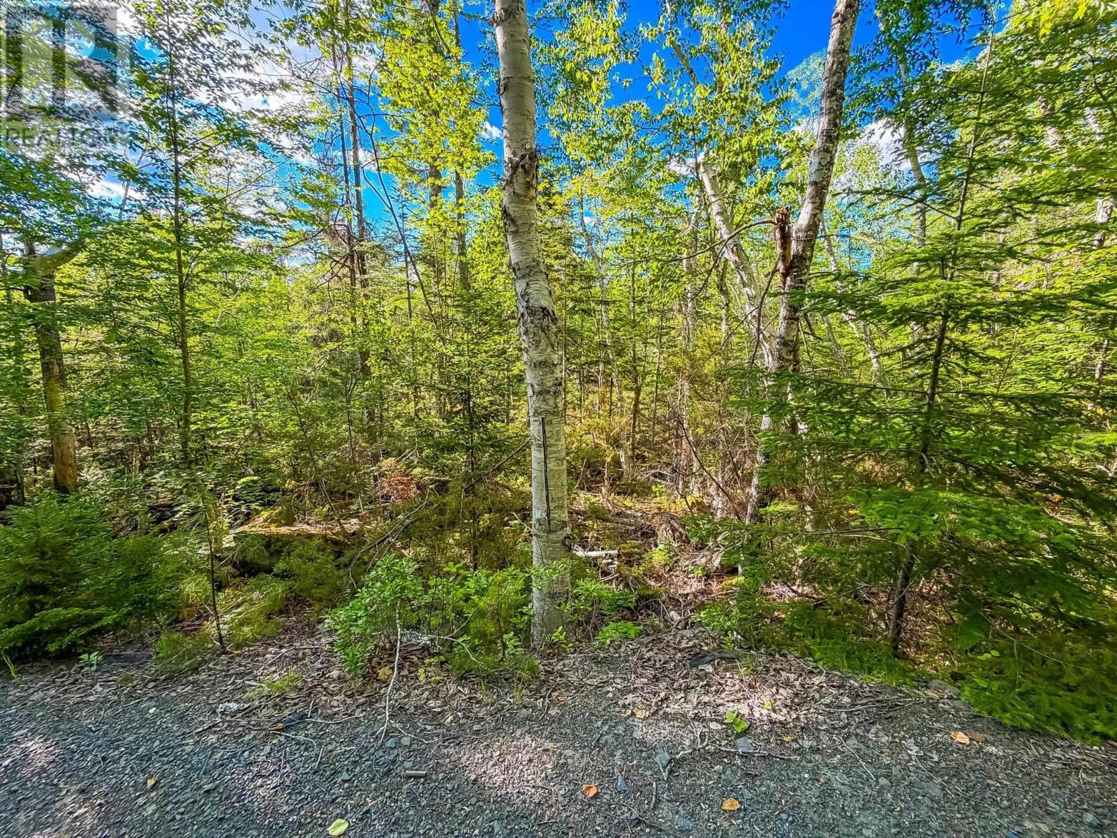 Lot (Pid 70126610) Ponhook Shore Road, Labelle, Nova Scotia  B0J 2E0 - Photo 7 - 202615170