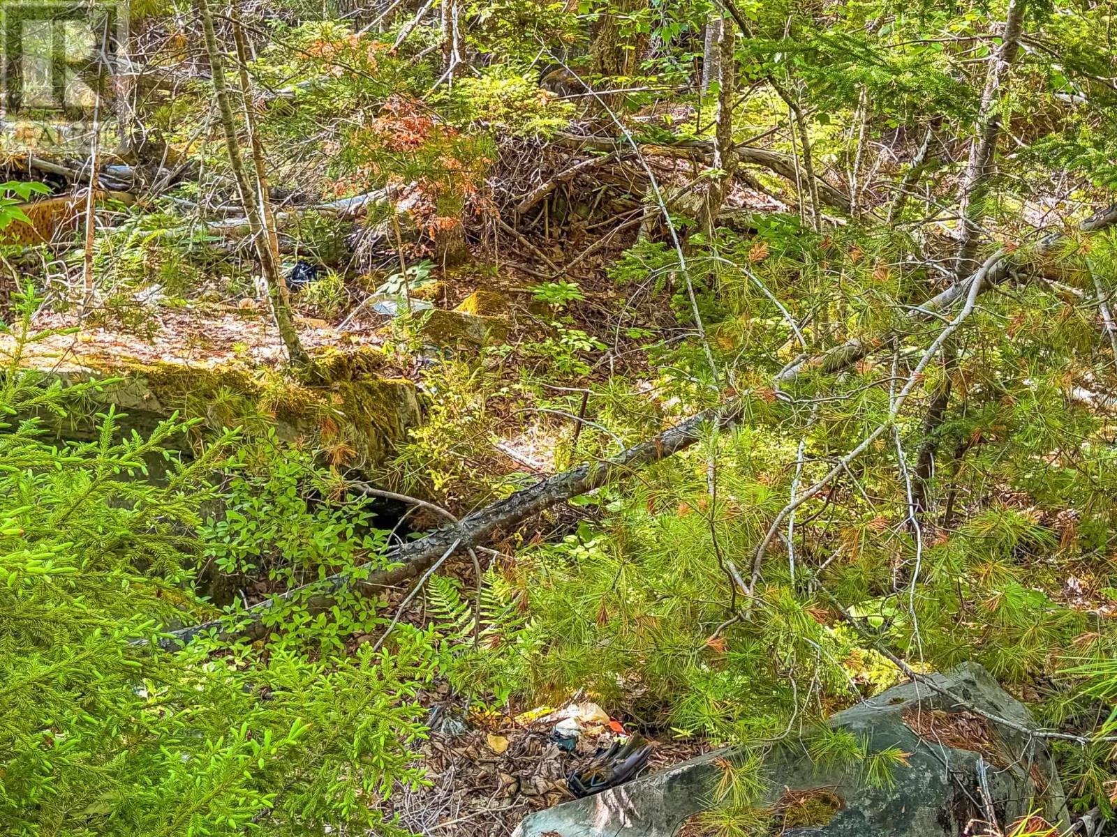 Lot (Pid 70126610) Ponhook Shore Road, Labelle, Nova Scotia  B0J 2E0 - Photo 8 - 202615170