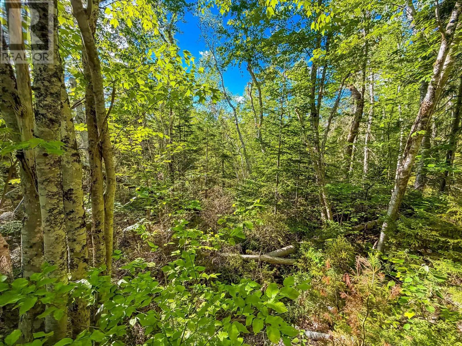Lot (Pid 70126610) Ponhook Shore Road, Labelle, Nova Scotia  B0J 2E0 - Photo 9 - 202615170