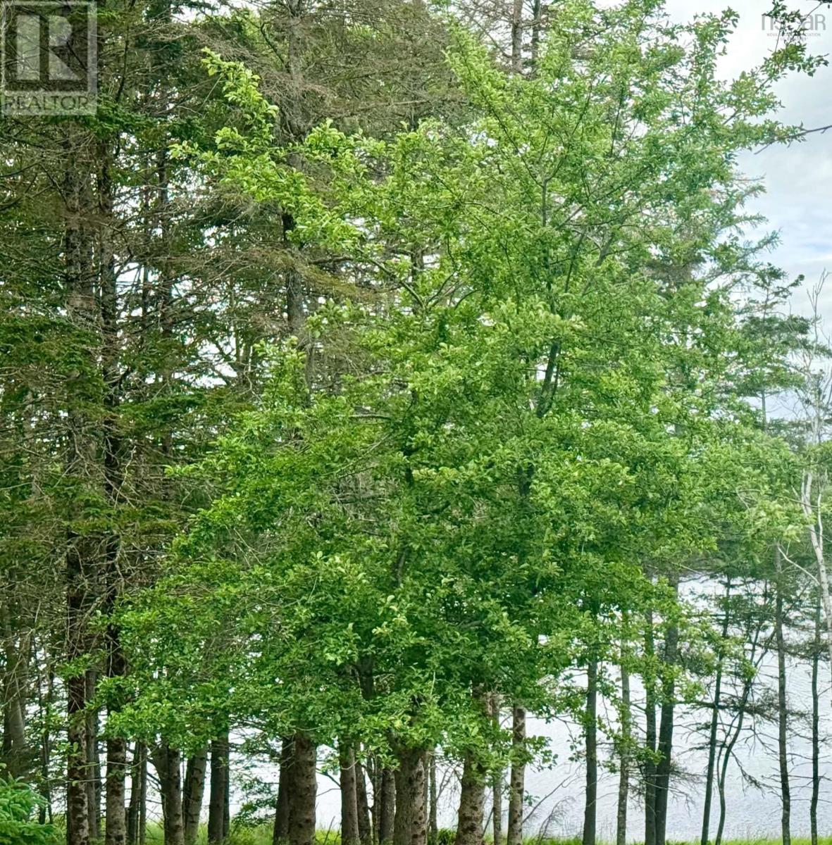 284 Gardners Mill Road, Gardners Mills, Nova Scotia  B5A 5N5 - Photo 18 - 202615192