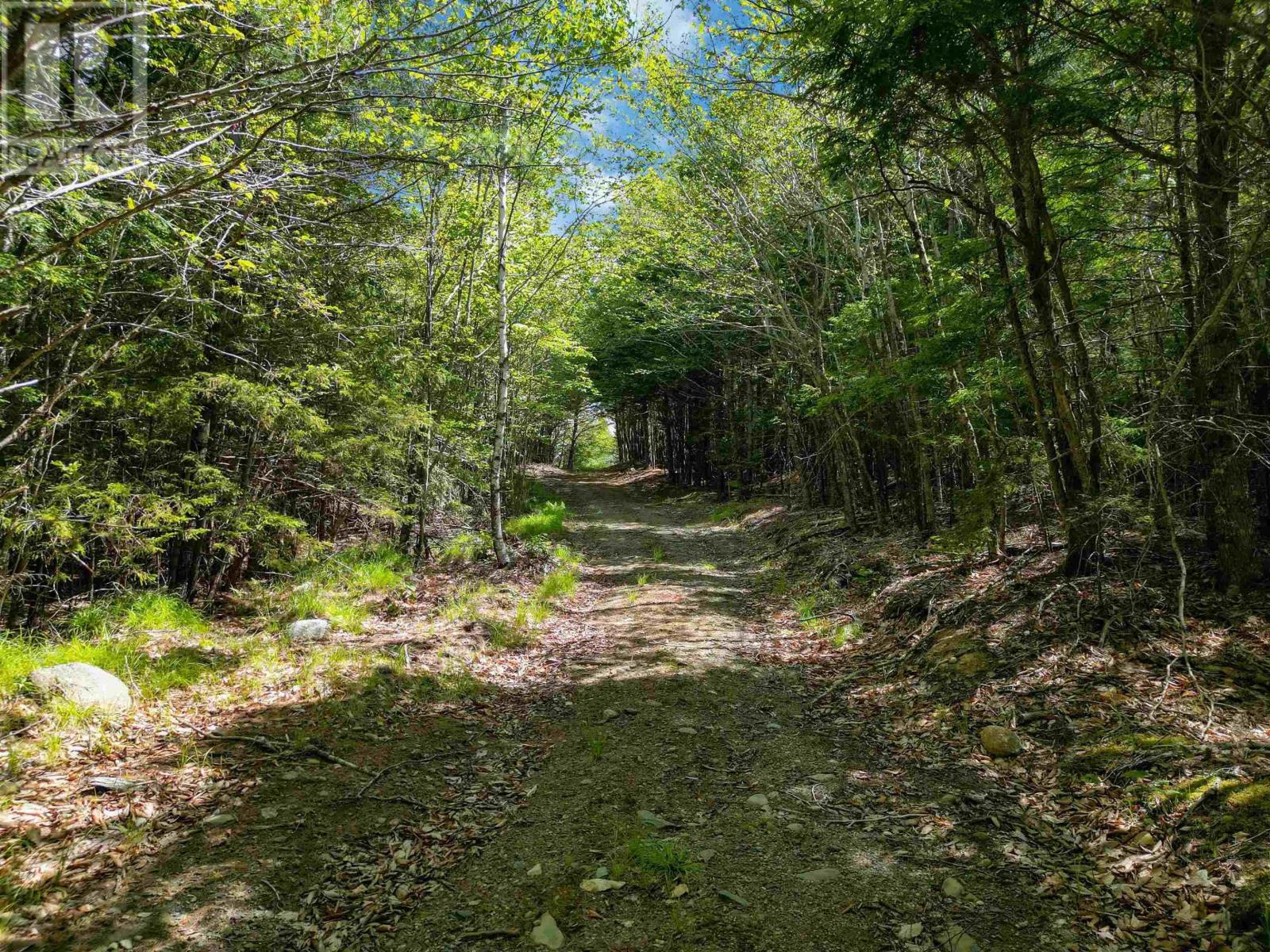 Lot Arenburg, Waterloo, Nova Scotia  B4V 8M5 - Photo 11 - 202615199