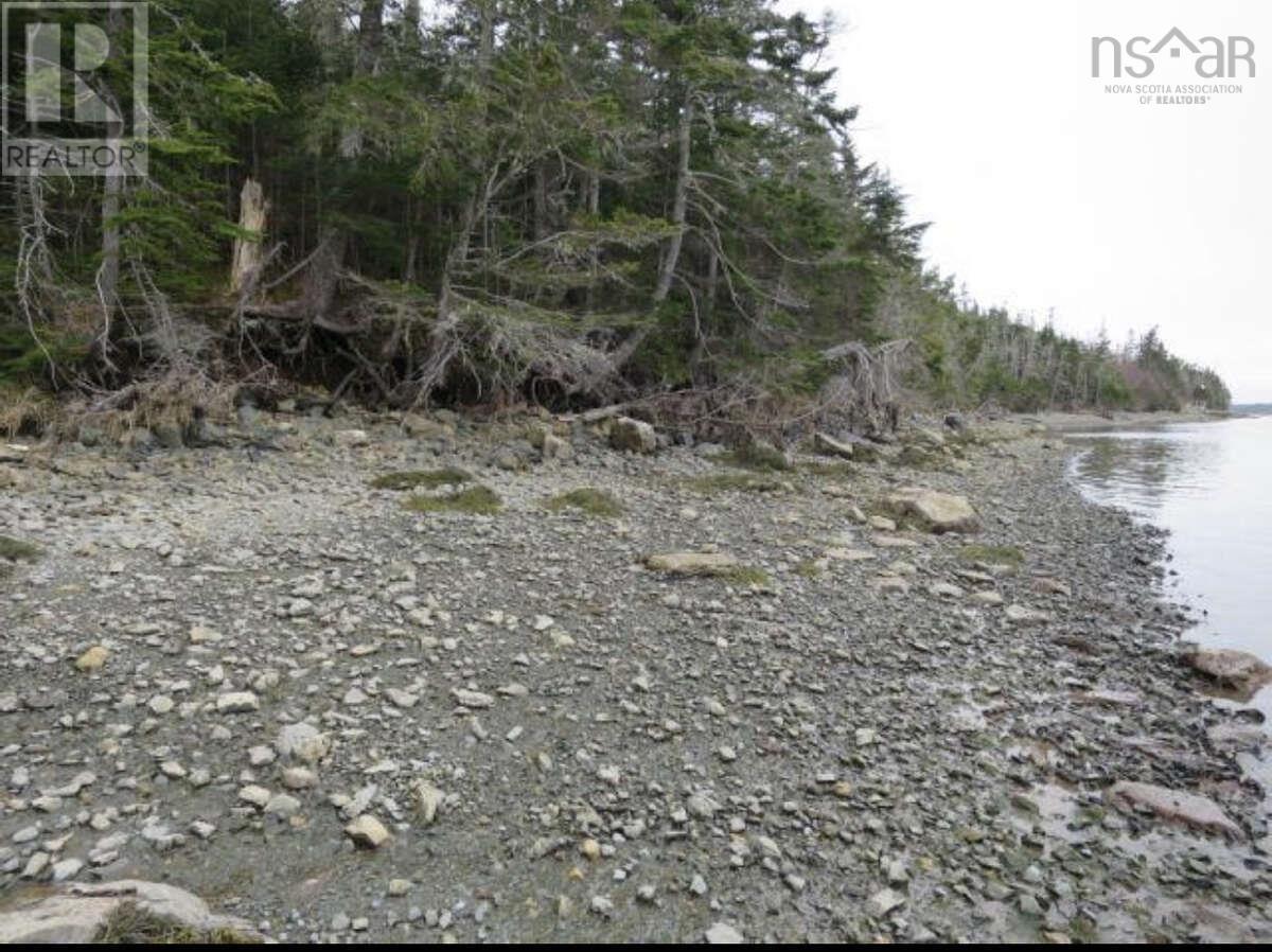 1360 East Petpeswick Road, Musquodoboit, Nova Scotia  B0J 2L0 - Photo 3 - 202615291
