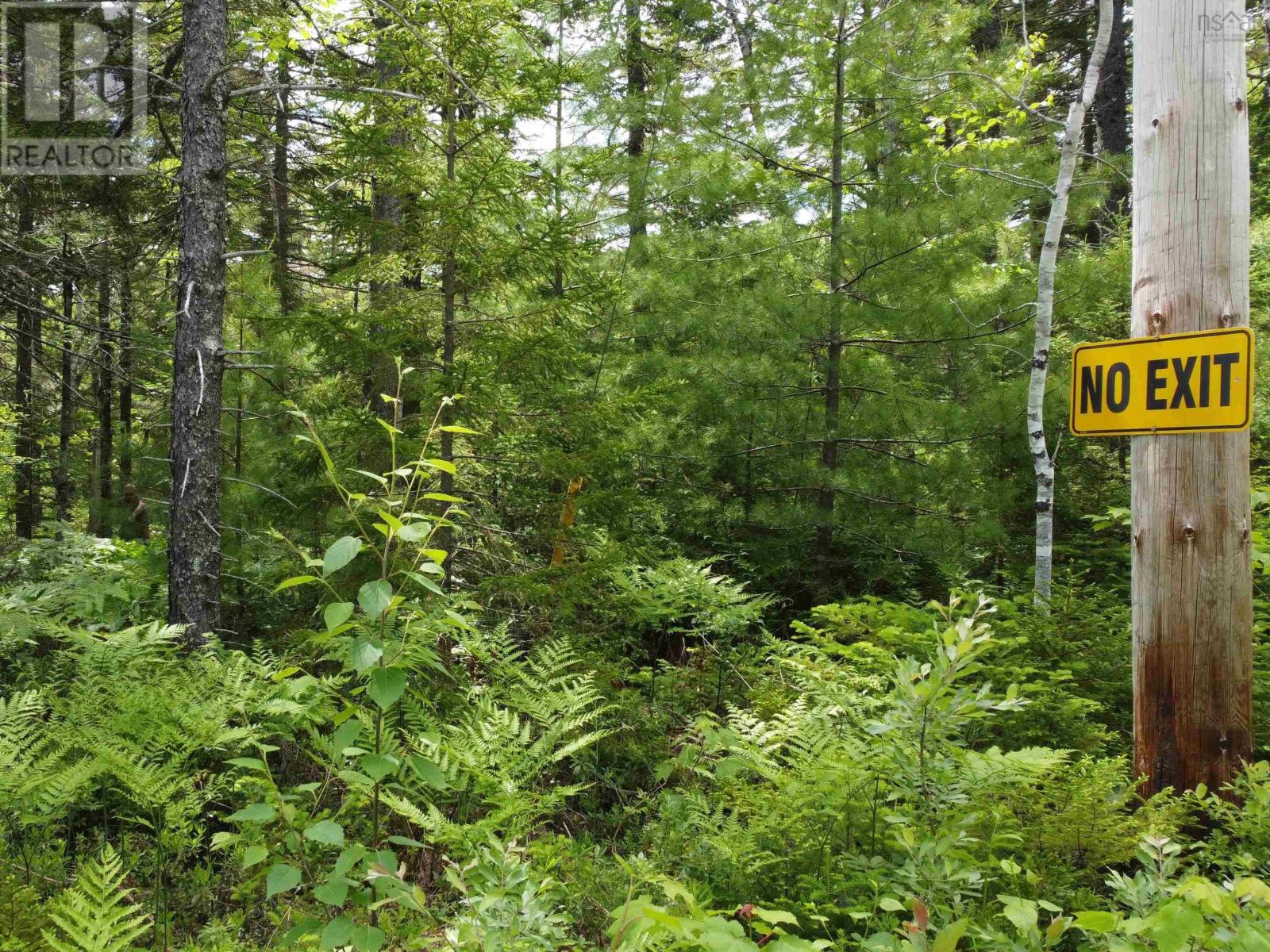 Lot 82 Pioneer Drive, Vaughan, Nova Scotia  B0N 2T0 - Photo 11 - 202615380