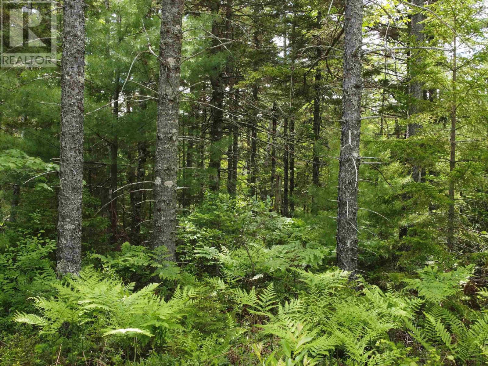 Lot 82 Pioneer Drive, Vaughan, Nova Scotia  B0N 2T0 - Photo 13 - 202615380