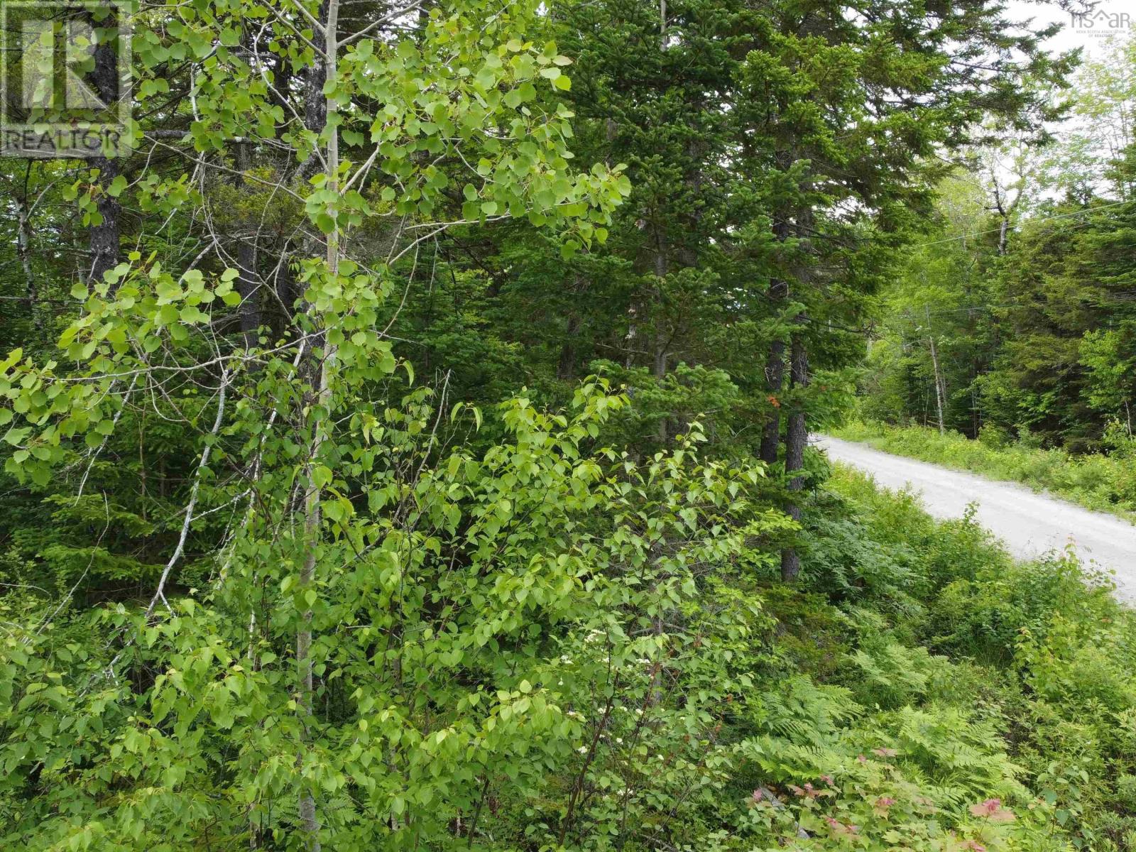 Lot 82 Pioneer Drive, Vaughan, Nova Scotia  B0N 2T0 - Photo 6 - 202615380