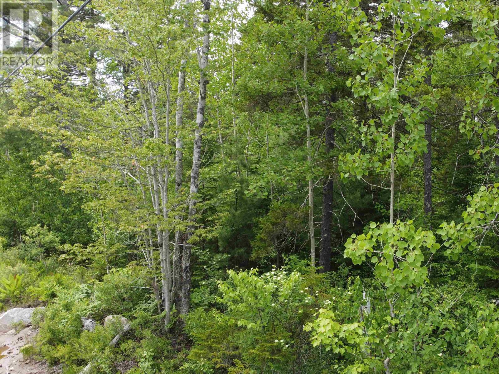 Lot 82 Pioneer Drive, Vaughan, Nova Scotia  B0N 2T0 - Photo 7 - 202615380