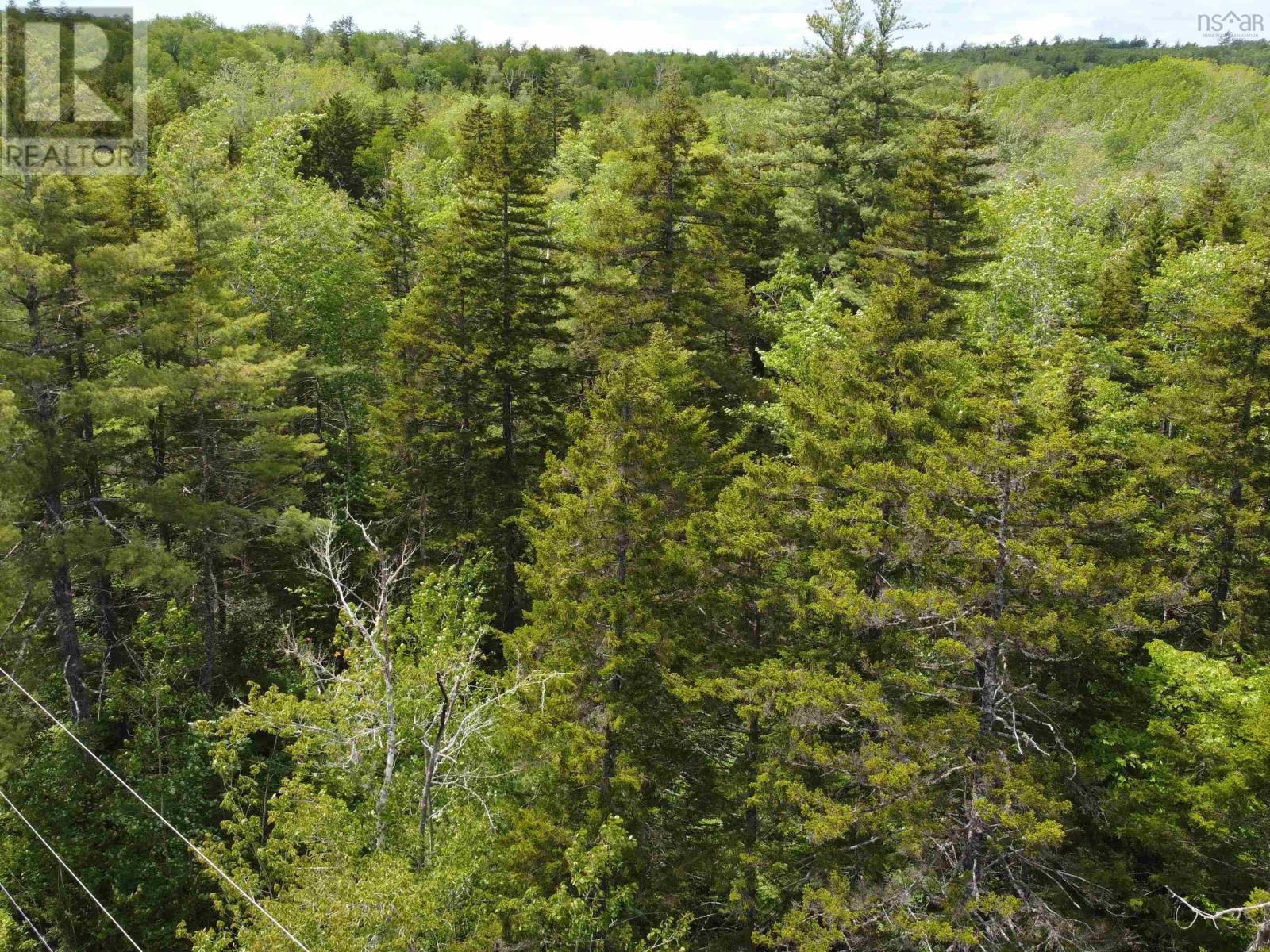 Lot 82 Pioneer Drive, Vaughan, Nova Scotia  B0N 2T0 - Photo 8 - 202615380