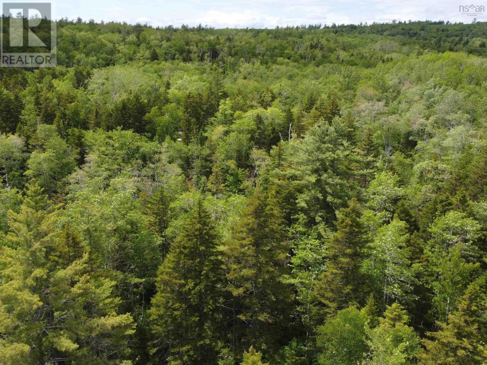 Lot 82 Pioneer Drive, Vaughan, Nova Scotia  B0N 2T0 - Photo 9 - 202615380