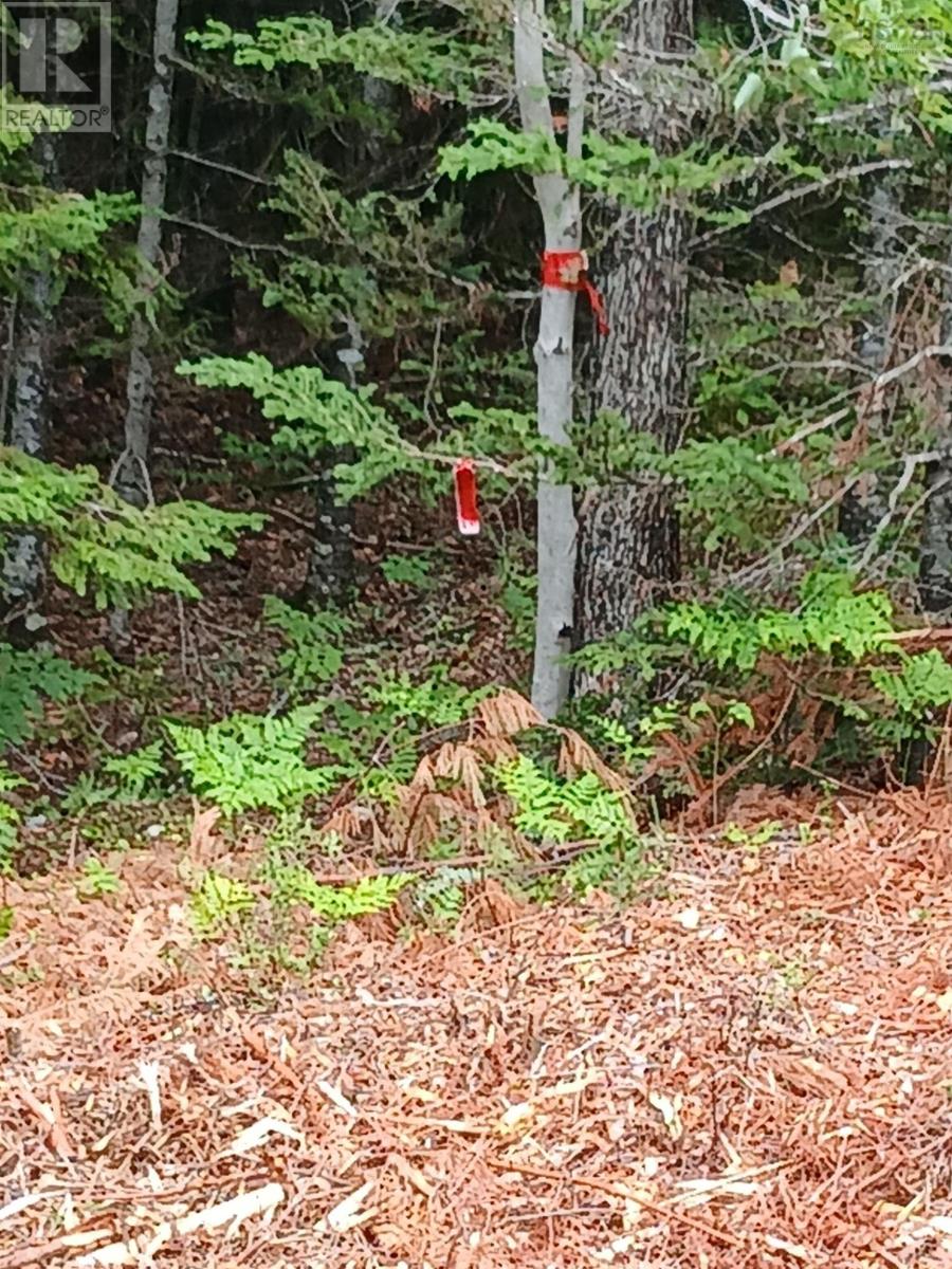 Northfield Road, Upper Northfield, Nova Scotia  B0R 1E0 - Photo 3 - 202615667