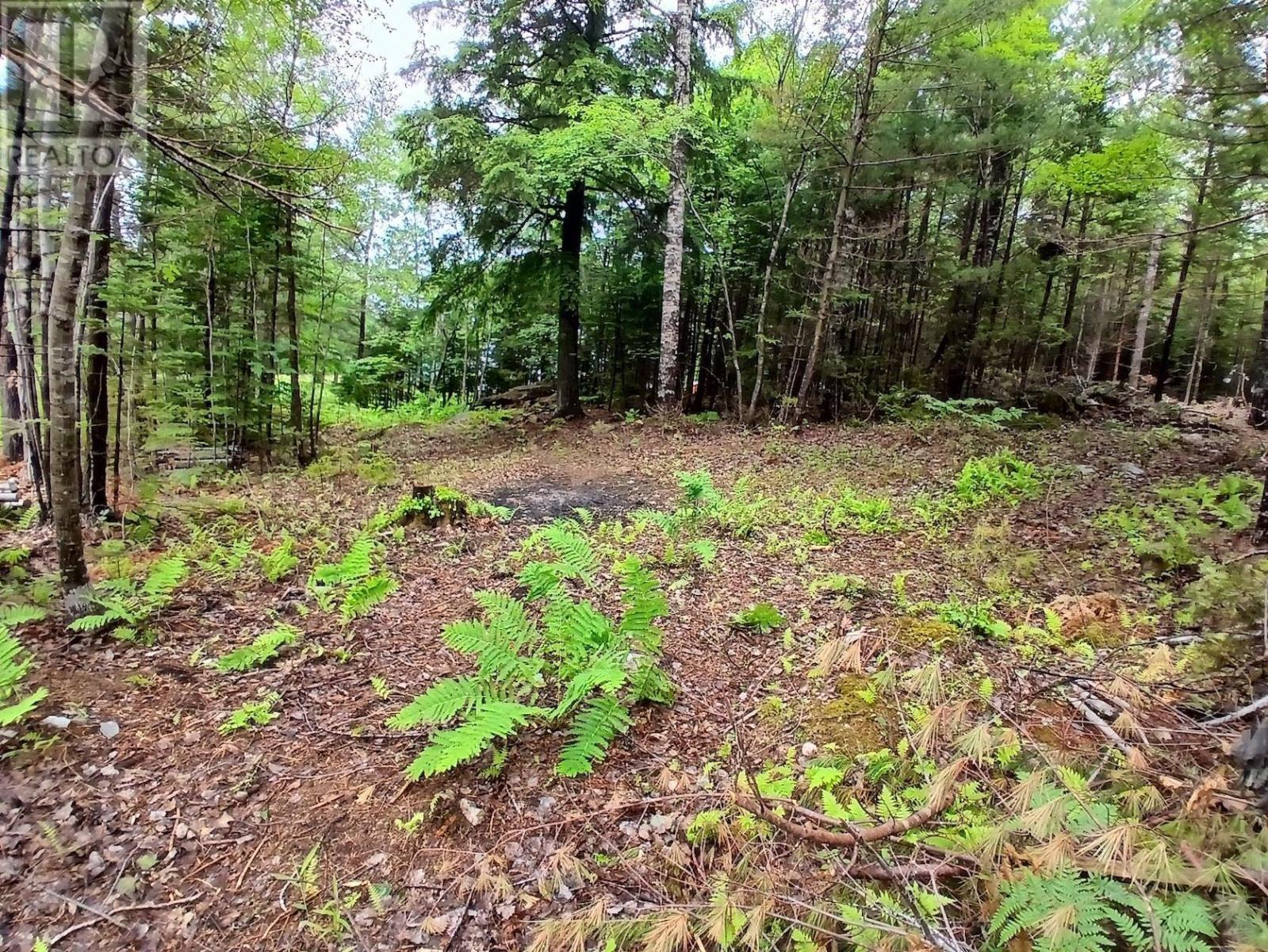 Northfield Road, Upper Northfield, Nova Scotia  B0R 1E0 - Photo 6 - 202615667