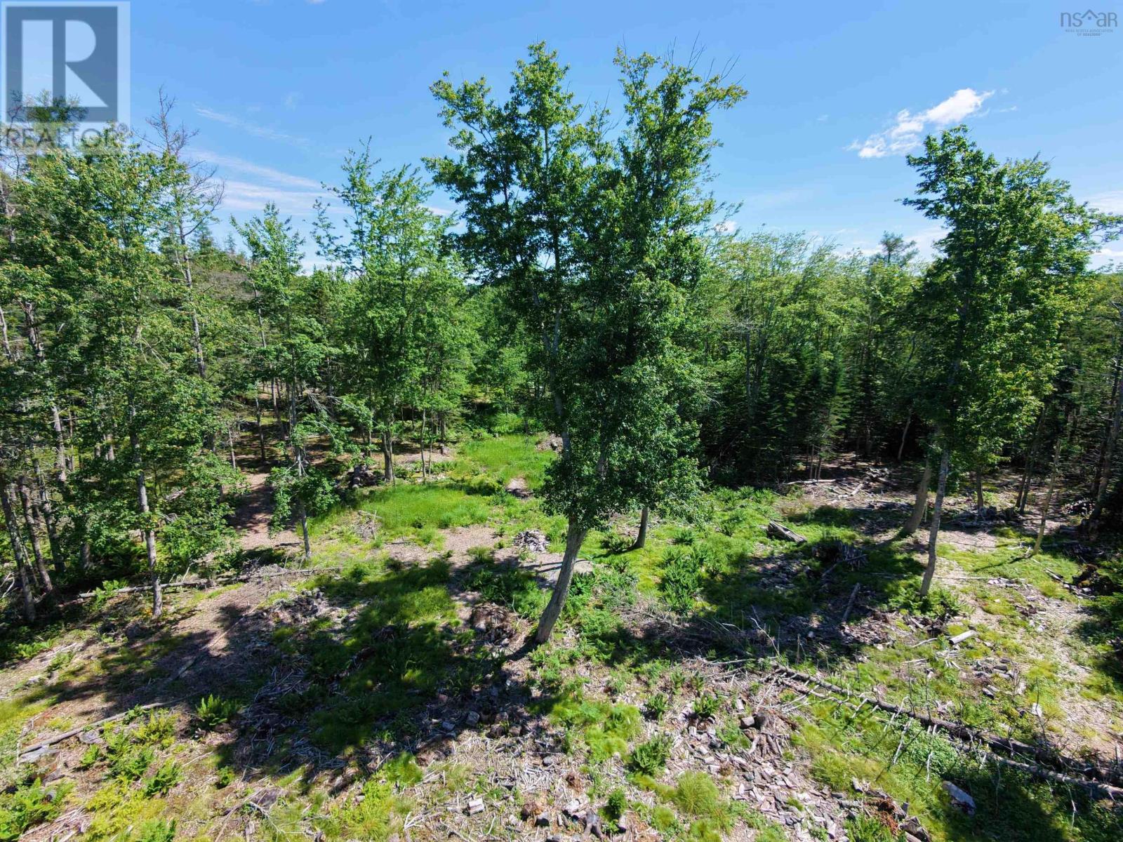 Lot 24-1 Glengarry Road, New Ross, Nova Scotia  B0J 2M0 - Photo 5 - 202615670
