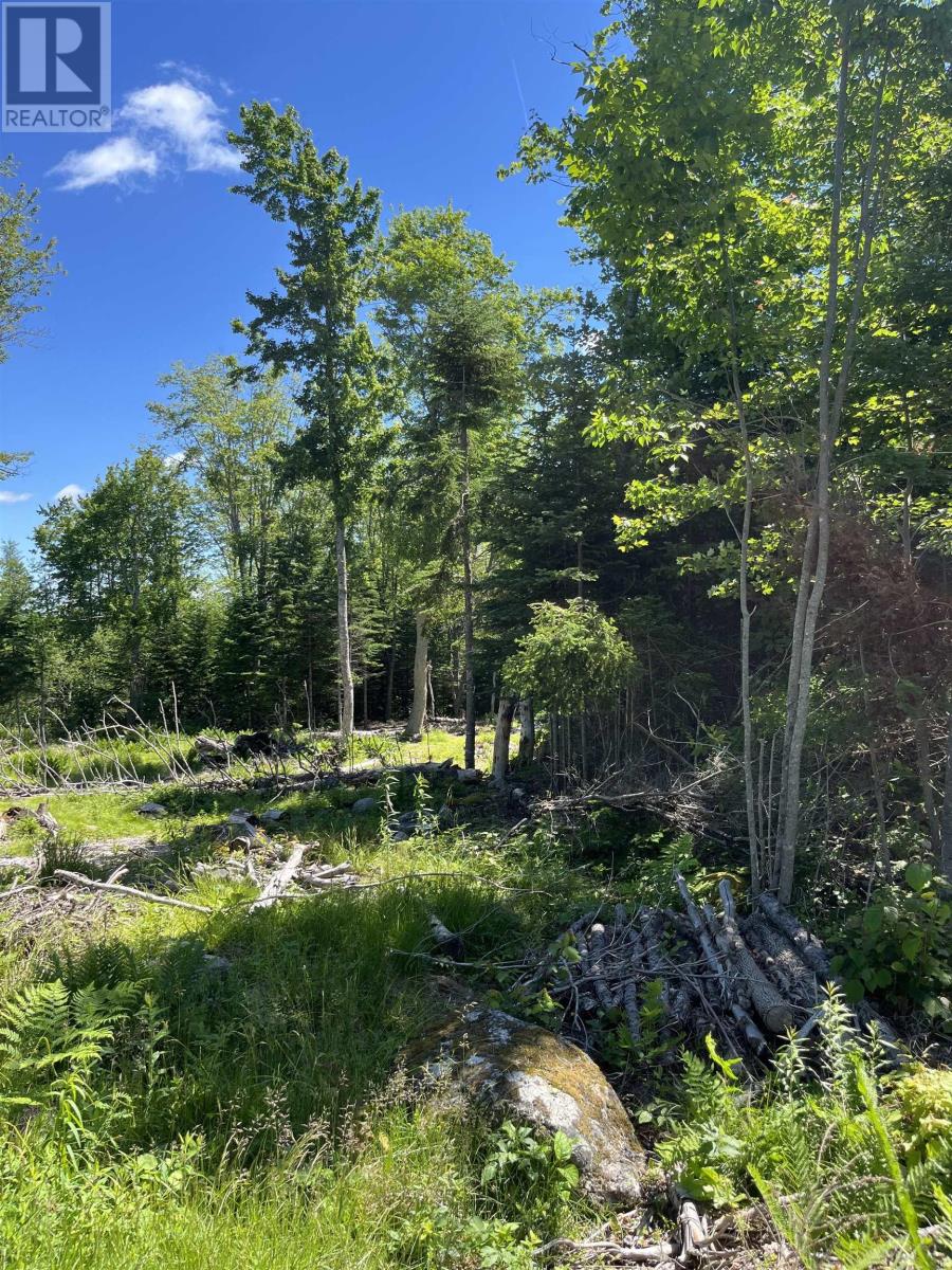 Lot 24-1 Glengarry Road, New Ross, Nova Scotia  B0J 2M0 - Photo 7 - 202615670