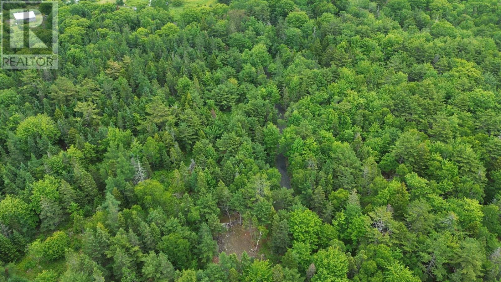 Lot 7 Huey Lake Road, Mount Pleasant, Nova Scotia  B0R 1G0 - Photo 4 - 202615675