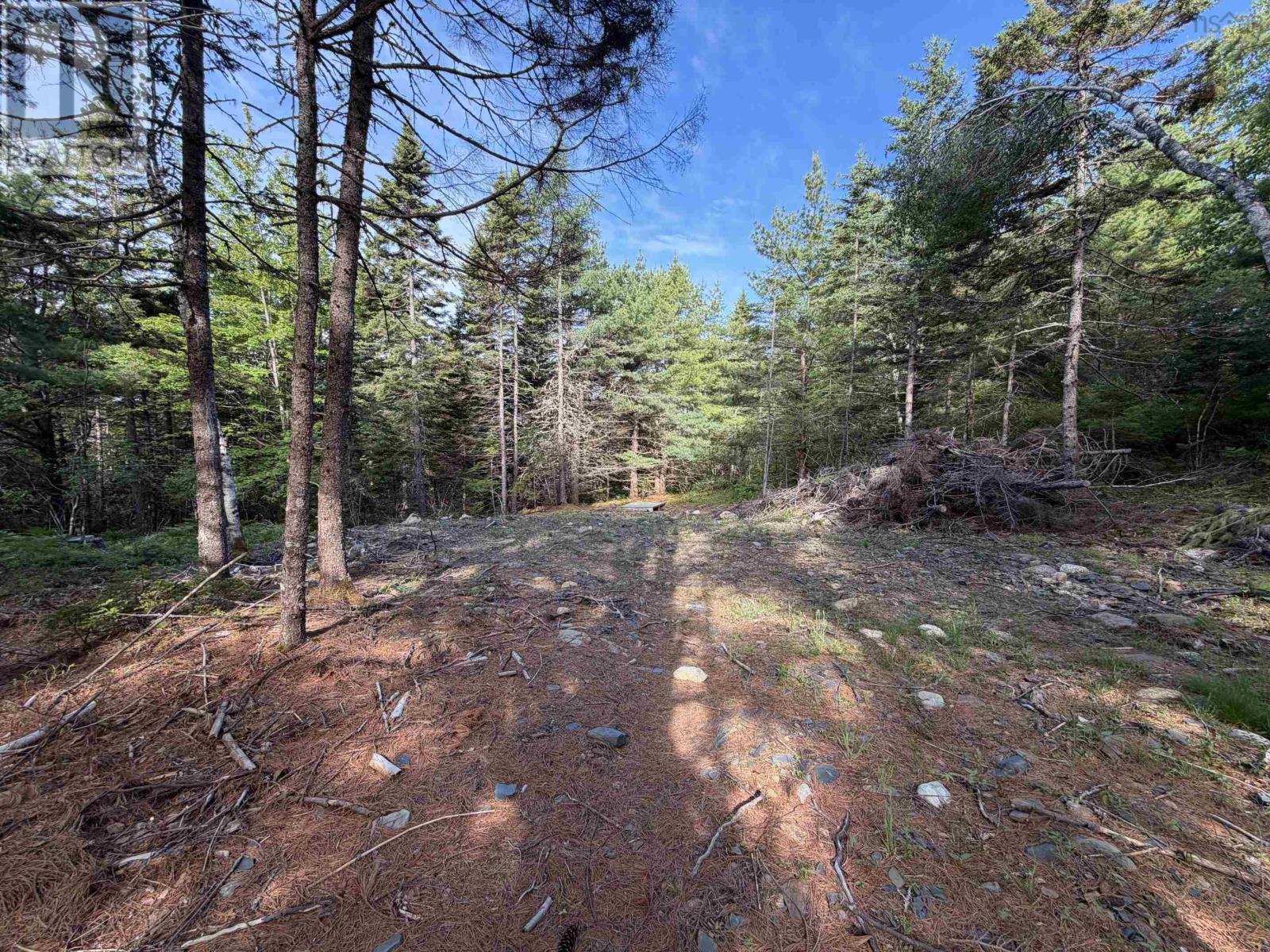 Lot 7 Huey Lake Road, Mount Pleasant, Nova Scotia  B0R 1G0 - Photo 5 - 202615675