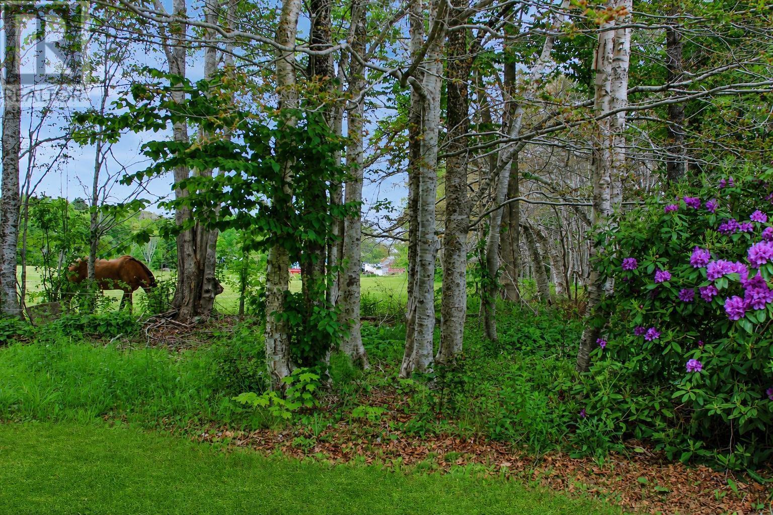 550 Allee Des Black, Bangor, Nova Scotia  B0W 2L0 - Photo 34 - 202615683