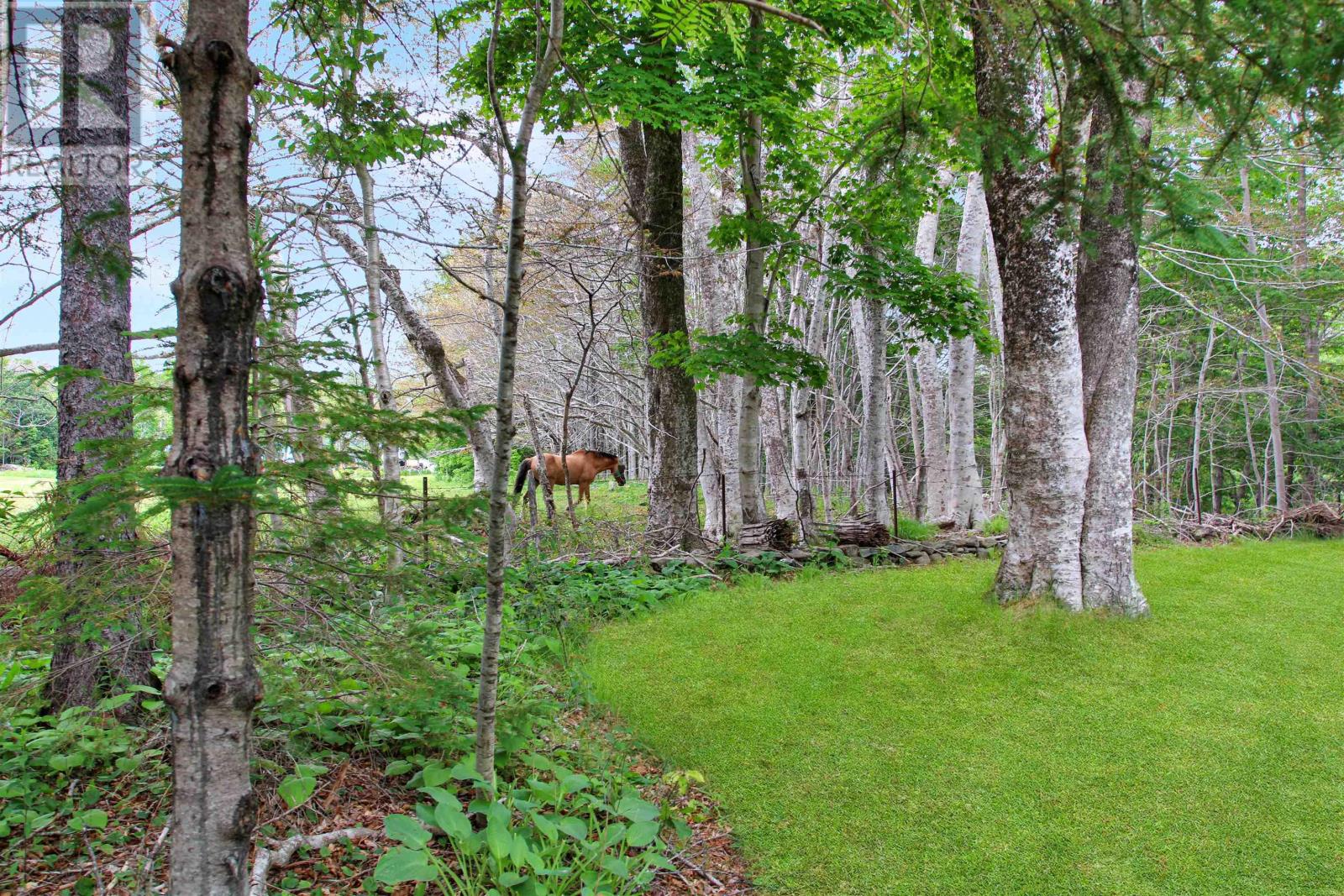 550 Allee Des Black, Bangor, Nova Scotia  B0W 2L0 - Photo 44 - 202615683