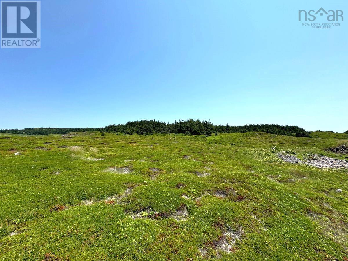 1-8 Cape Auguet Road, Arichat, Nova Scotia  B0E 1A0 - Photo 14 - 202615687