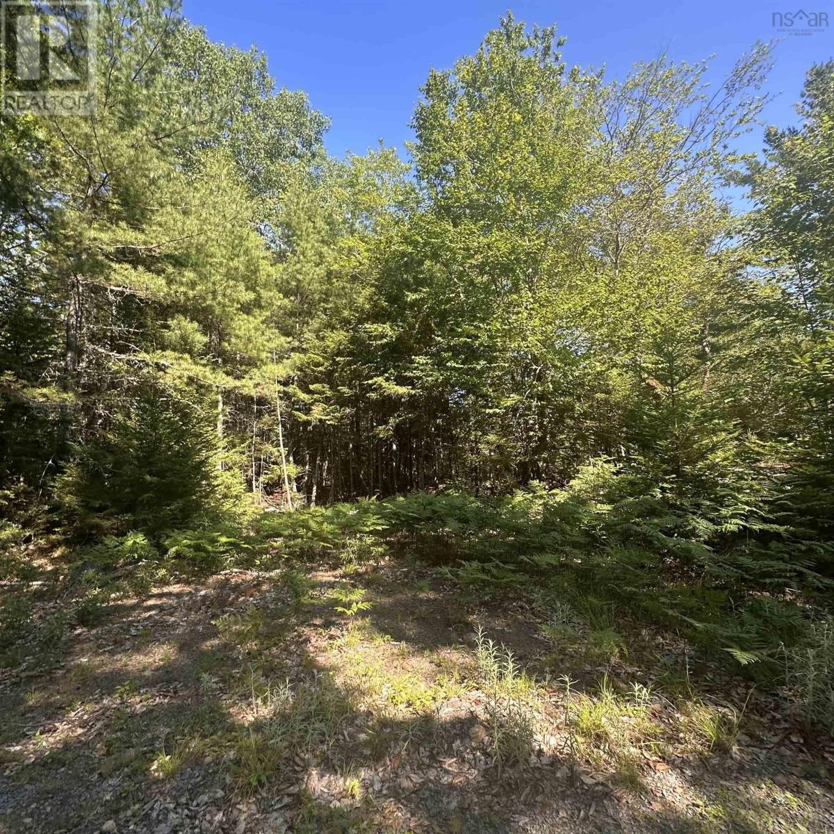 Lot (Pid 70241864) Wellington Road, Buckfield, Nova Scotia  B0T 1E0 - Photo 2 - 202615709