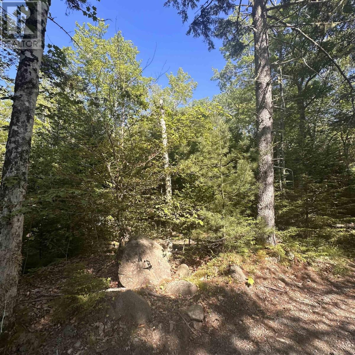 Lot (Pid 70241864) Wellington Road, Buckfield, Nova Scotia  B0T 1E0 - Photo 3 - 202615709