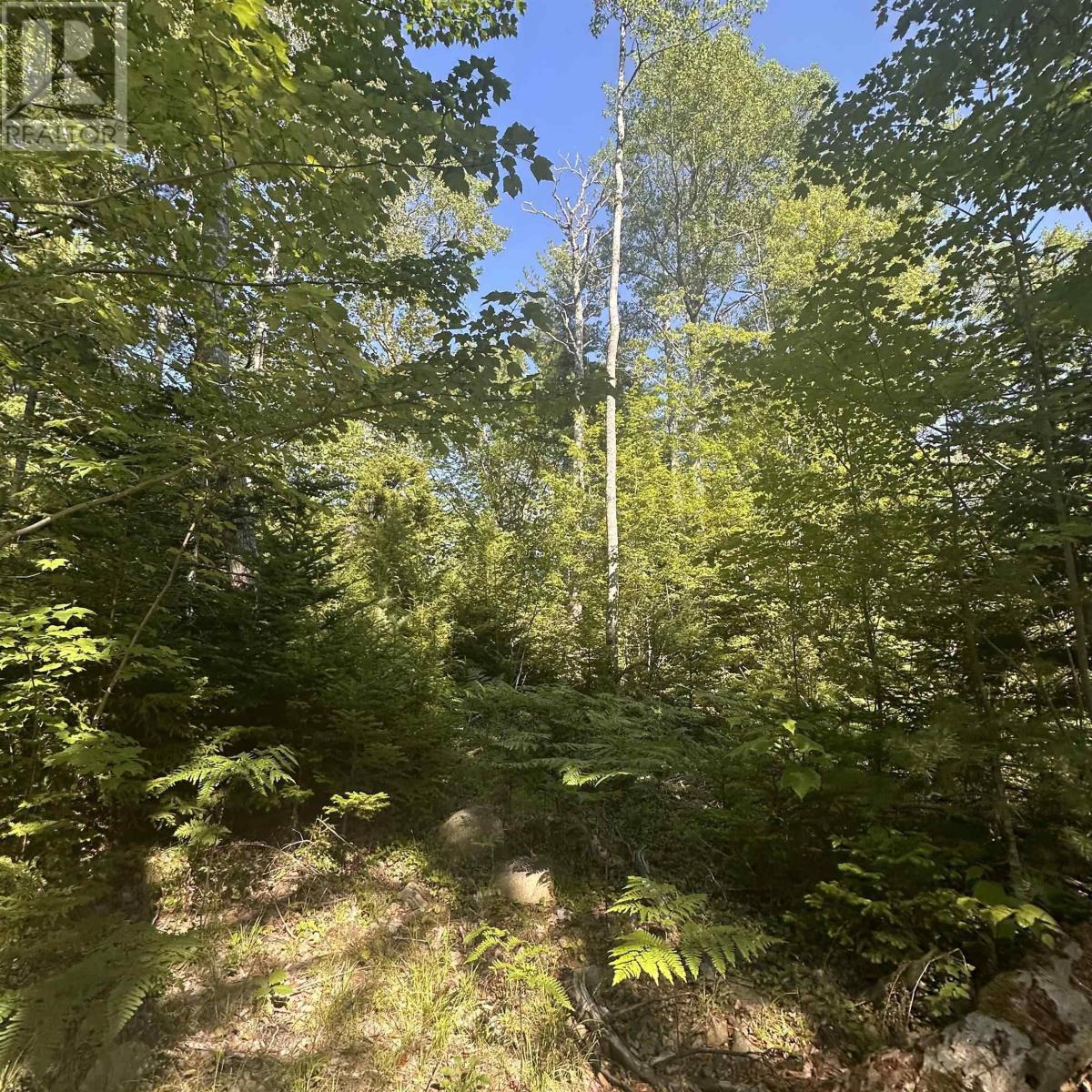 Lot (Pid 70241864) Wellington Road, Buckfield, Nova Scotia  B0T 1E0 - Photo 4 - 202615709