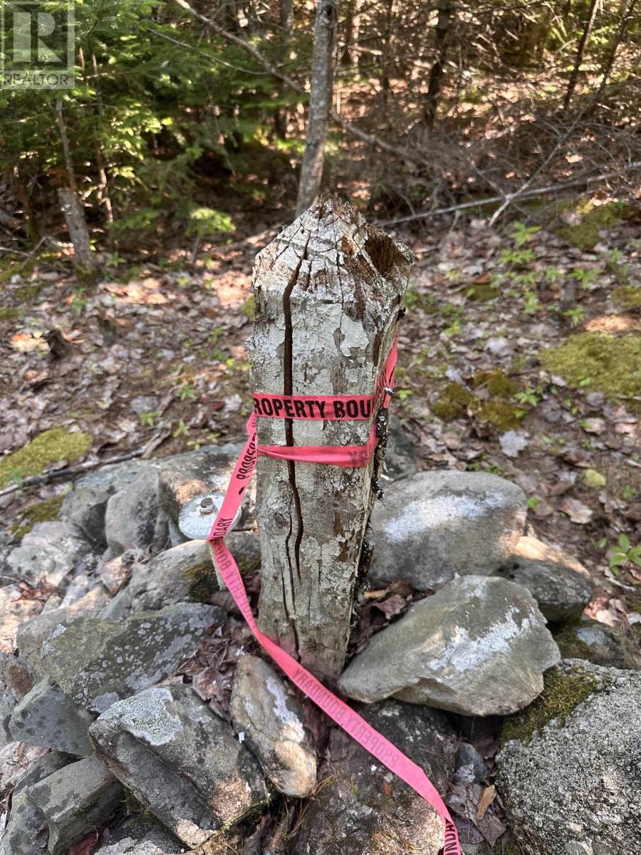 Lot (Pid 70241864) Wellington Road, Buckfield, Nova Scotia  B0T 1E0 - Photo 6 - 202615709