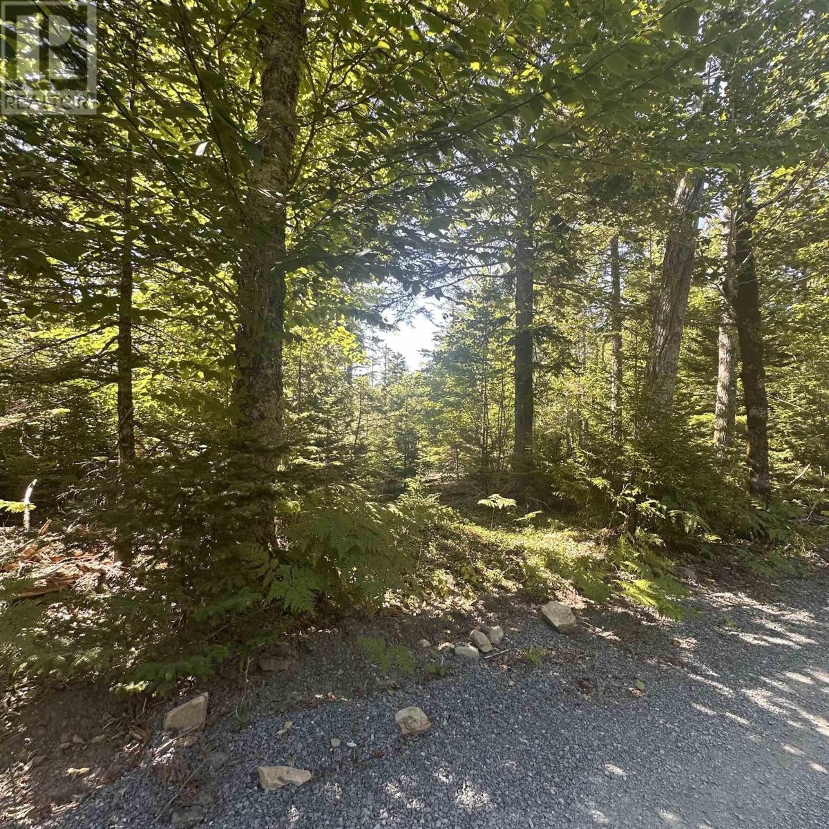 Lot (Pid 70241864) Wellington Road, Buckfield, Nova Scotia  B0T 1E0 - Photo 7 - 202615709