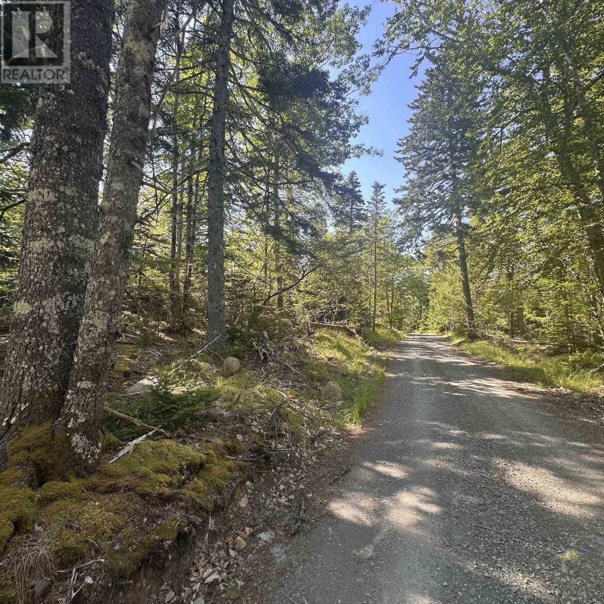 Lot (Pid 70241864) Wellington Road, Buckfield, Nova Scotia  B0T 1E0 - Photo 8 - 202615709