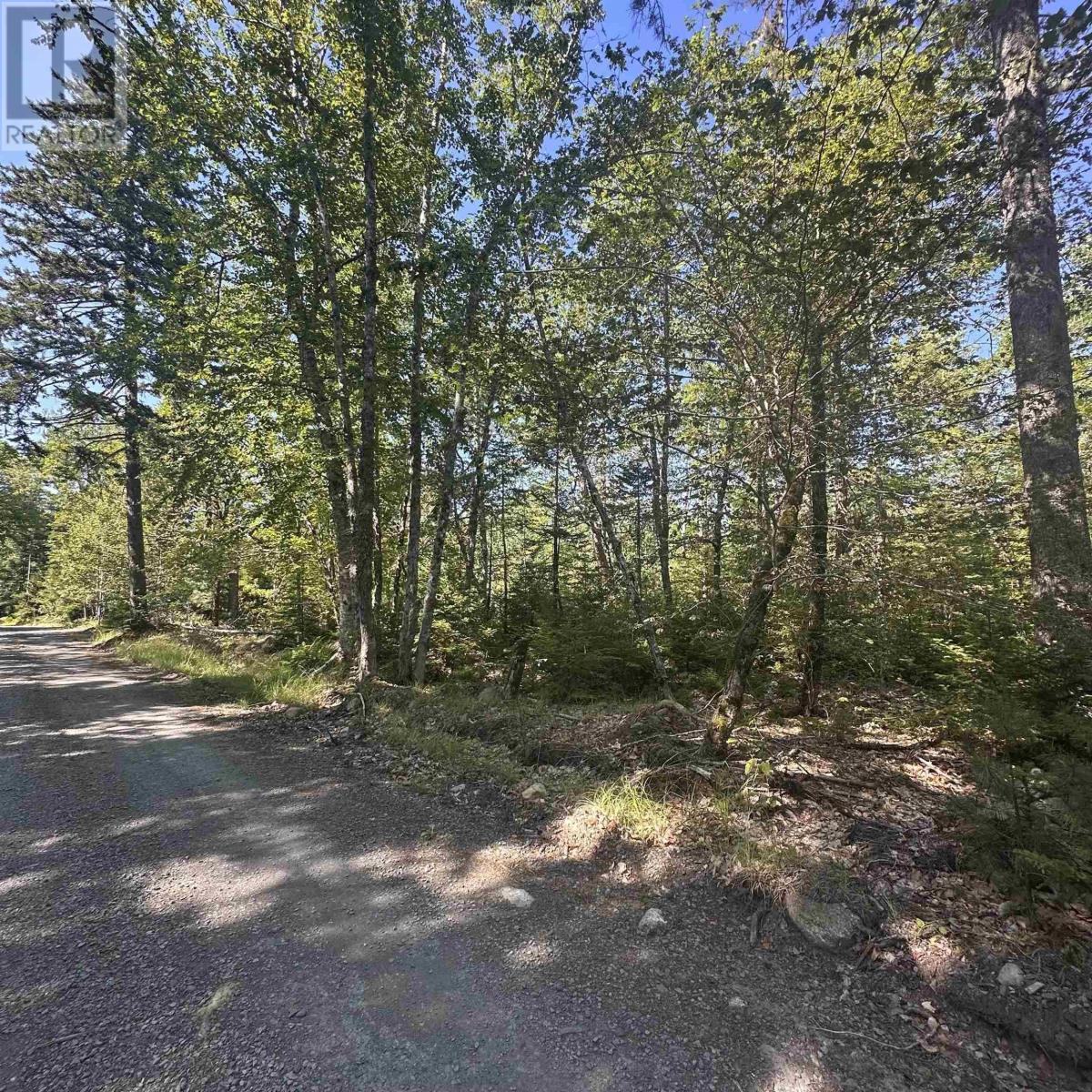 Lot (Pid 70241864) Wellington Road, Buckfield, Nova Scotia  B0T 1E0 - Photo 9 - 202615709