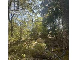 Lot (PID 70241864) Wellington Road, buckfield, Nova Scotia
