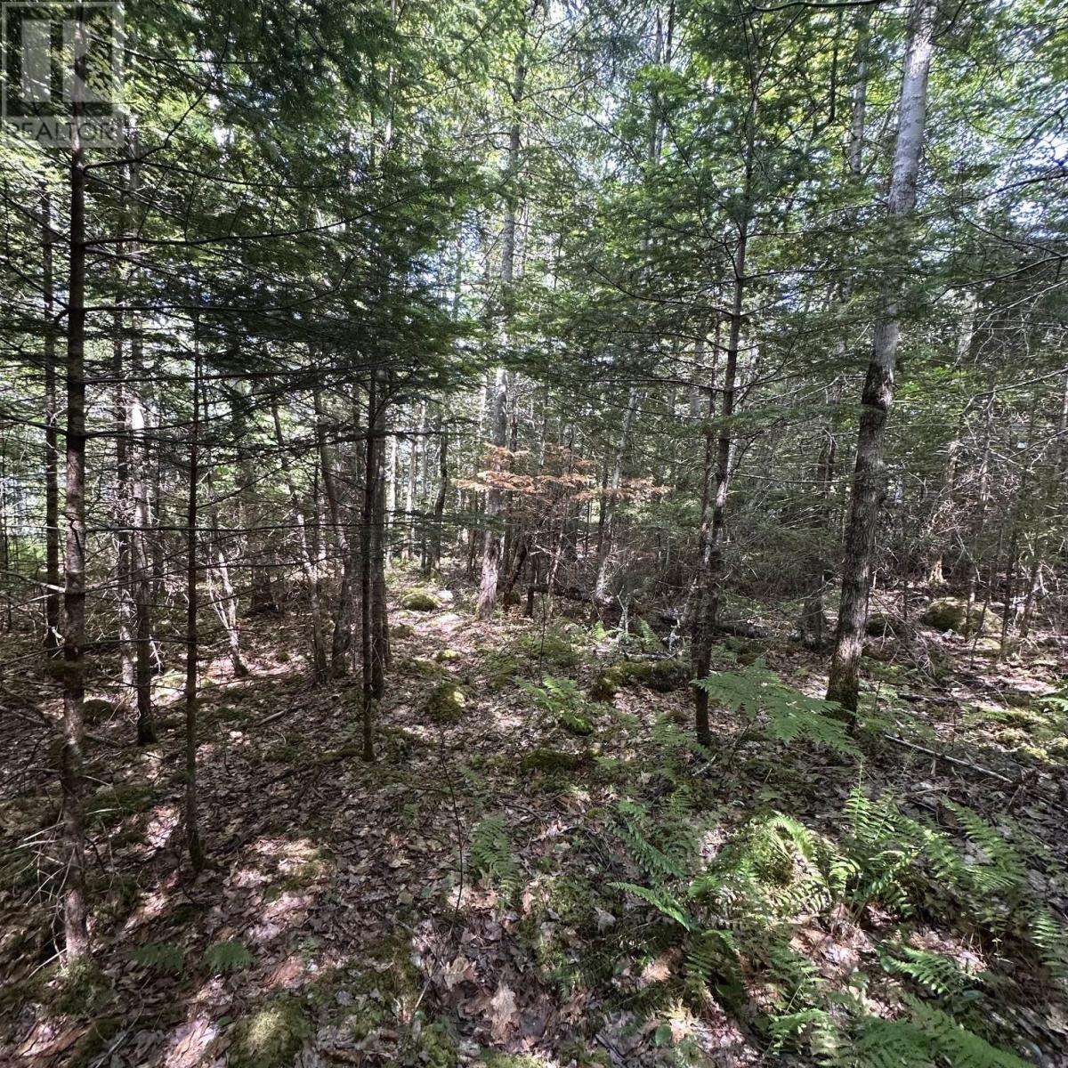 Lot 7 Rhodenizer Lake Road, Dayspring, Nova Scotia  B4V 6A6 - Photo 10 - 202615710