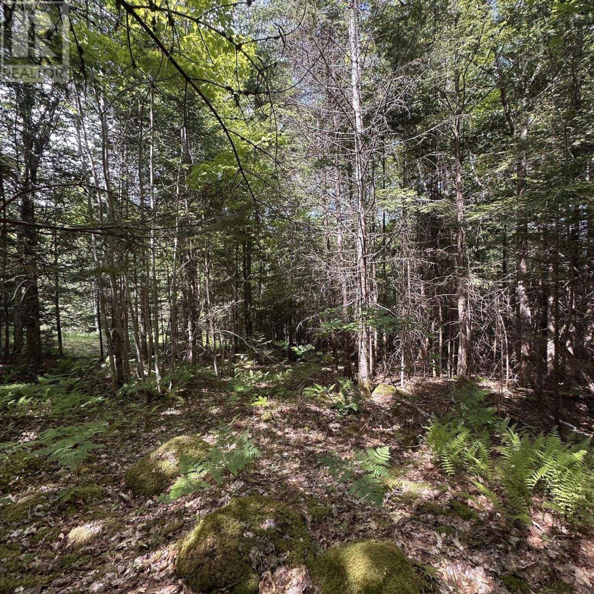 Lot 7 Rhodenizer Lake Road, Dayspring, Nova Scotia  B4V 6A6 - Photo 11 - 202615710