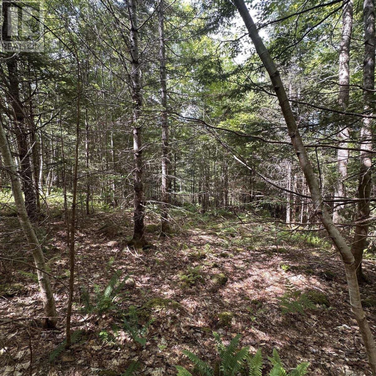 Lot 7 Rhodenizer Lake Road, Dayspring, Nova Scotia  B4V 6A6 - Photo 13 - 202615710