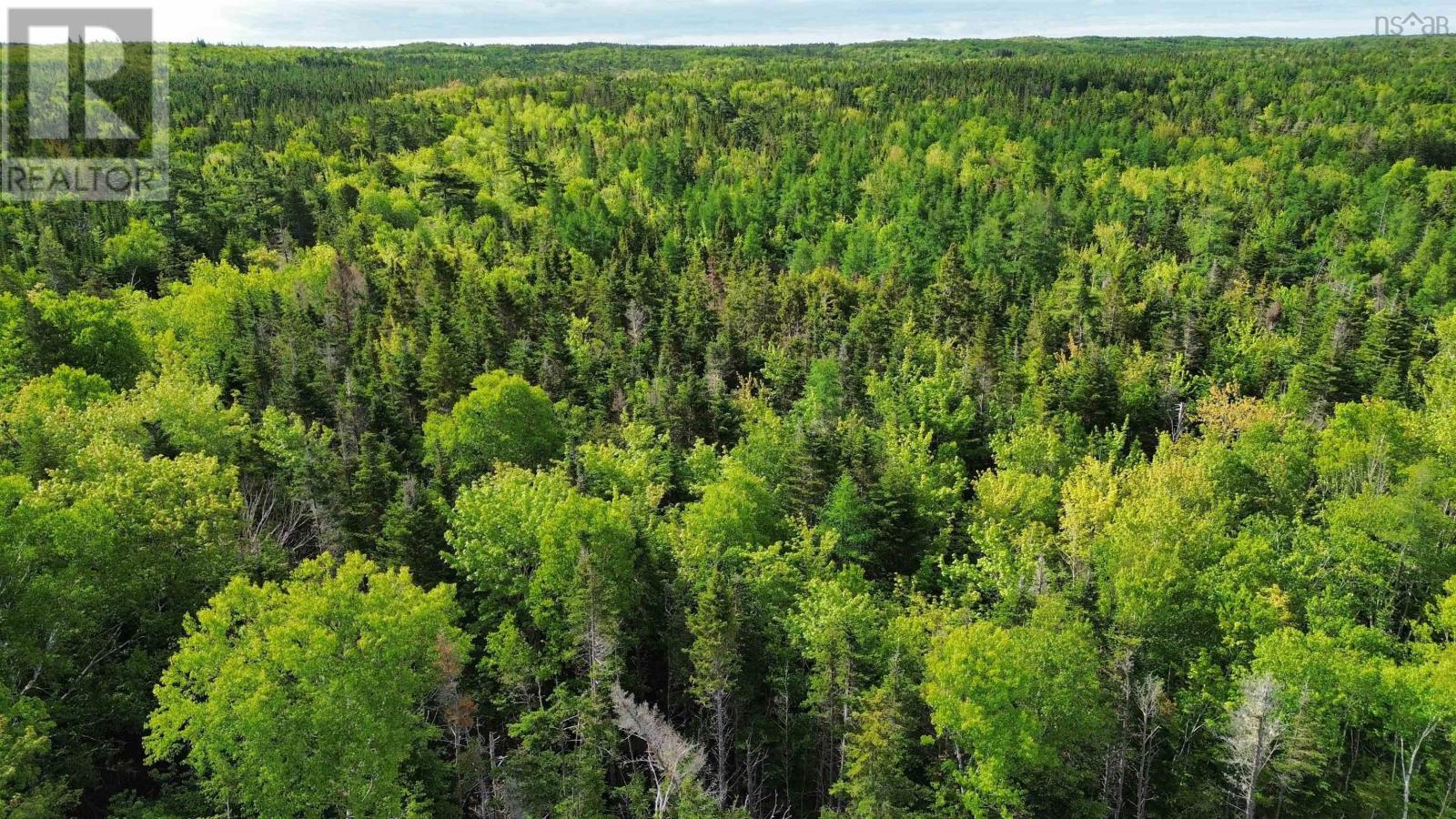 Lot 1 Brickyard Road, Albert Bridge, Nova Scotia  B1K 2R9 - Photo 2 - 202615743