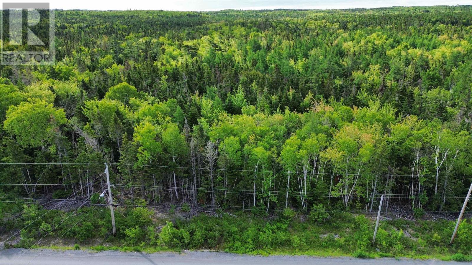 Lot 1 Brickyard Road, Albert Bridge, Nova Scotia  B1K 2R9 - Photo 3 - 202615743