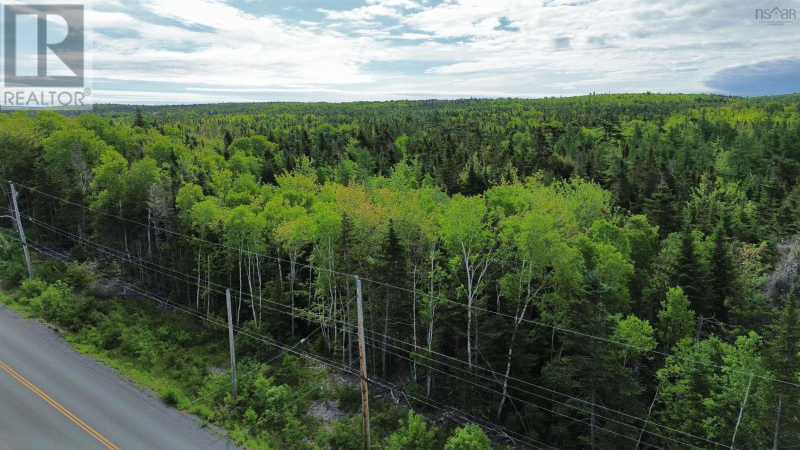 Lot 1 Brickyard Road, Albert Bridge, Nova Scotia  B1K 2R9 - Photo 4 - 202615743