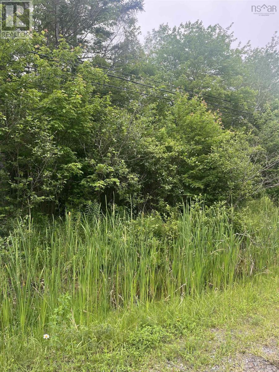 Lot 1c Renfrew Road, Enfield, Nova Scotia  B2T 1H6 - Photo 4 - 202615758