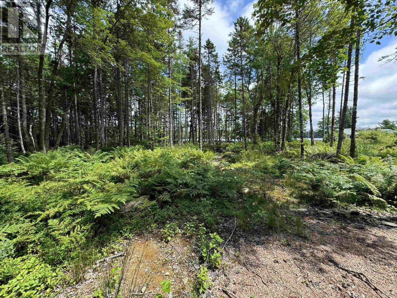 7 Lot Package East Lake Road, New Albany, Nova Scotia  B0S 1P0 - Photo 11 - 202615919