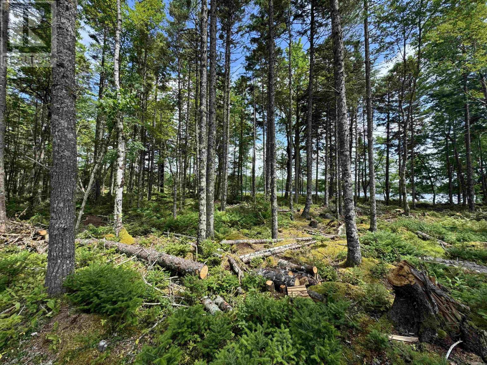 7 Lot Package East Lake Road, New Albany, Nova Scotia  B0S 1P0 - Photo 12 - 202615919