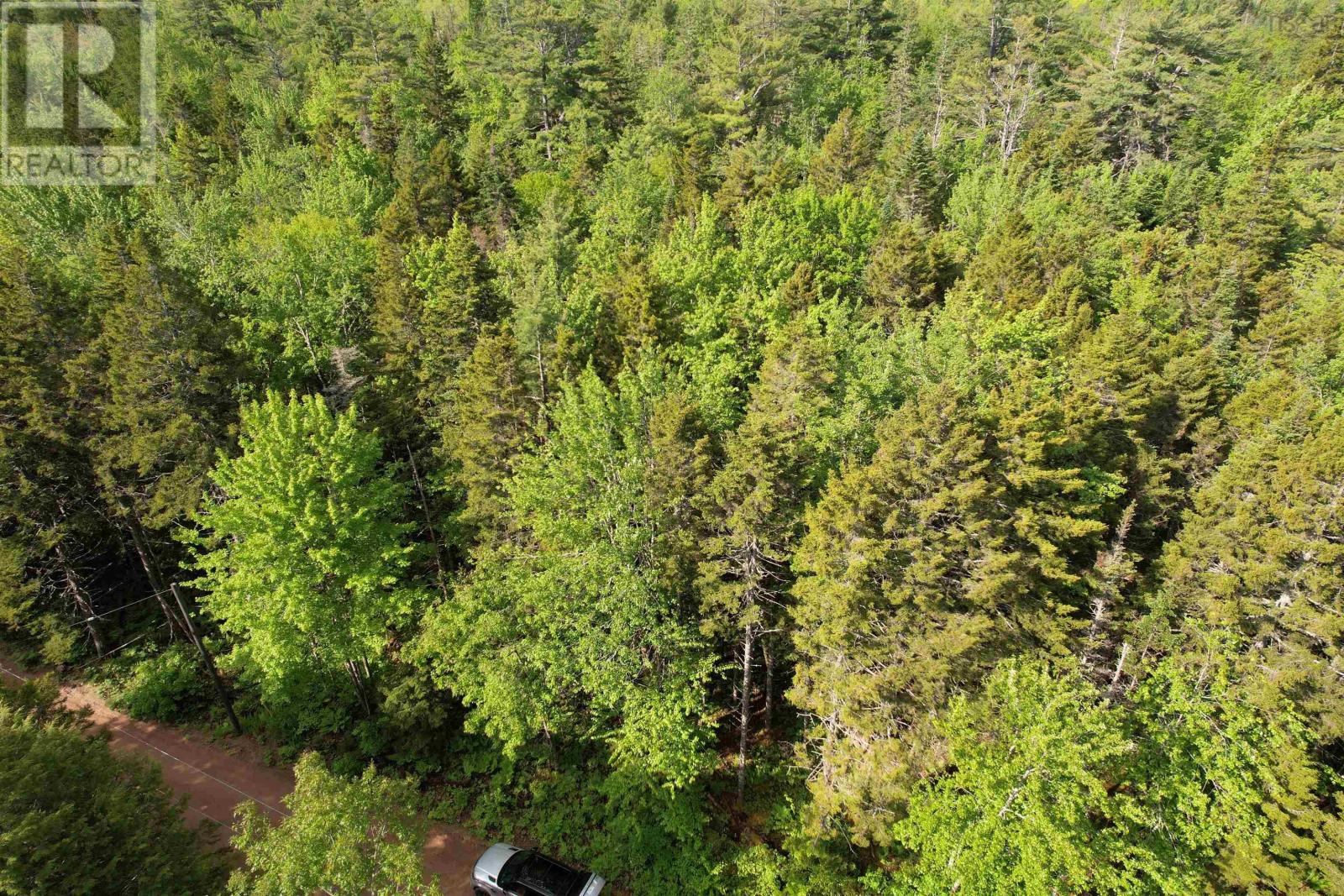 7 Lot Package East Lake Road, New Albany, Nova Scotia  B0S 1P0 - Photo 18 - 202615919