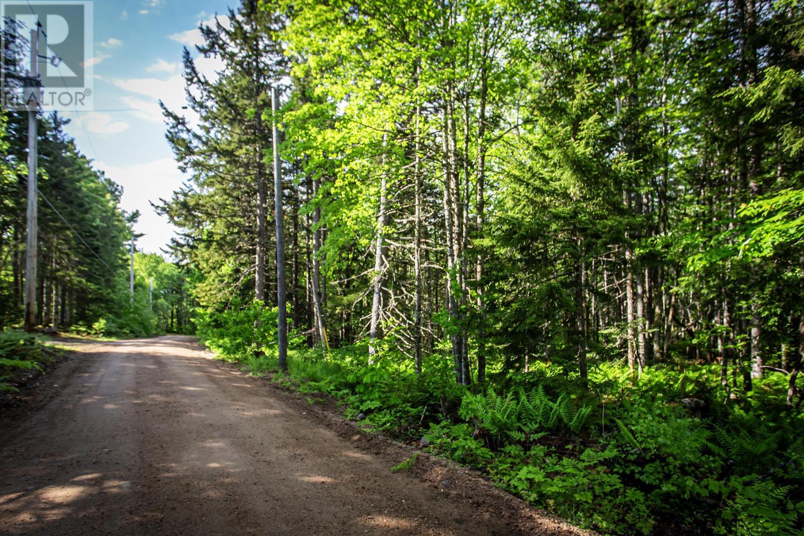 7 Lot Package East Lake Road, New Albany, Nova Scotia  B0S 1P0 - Photo 8 - 202615919