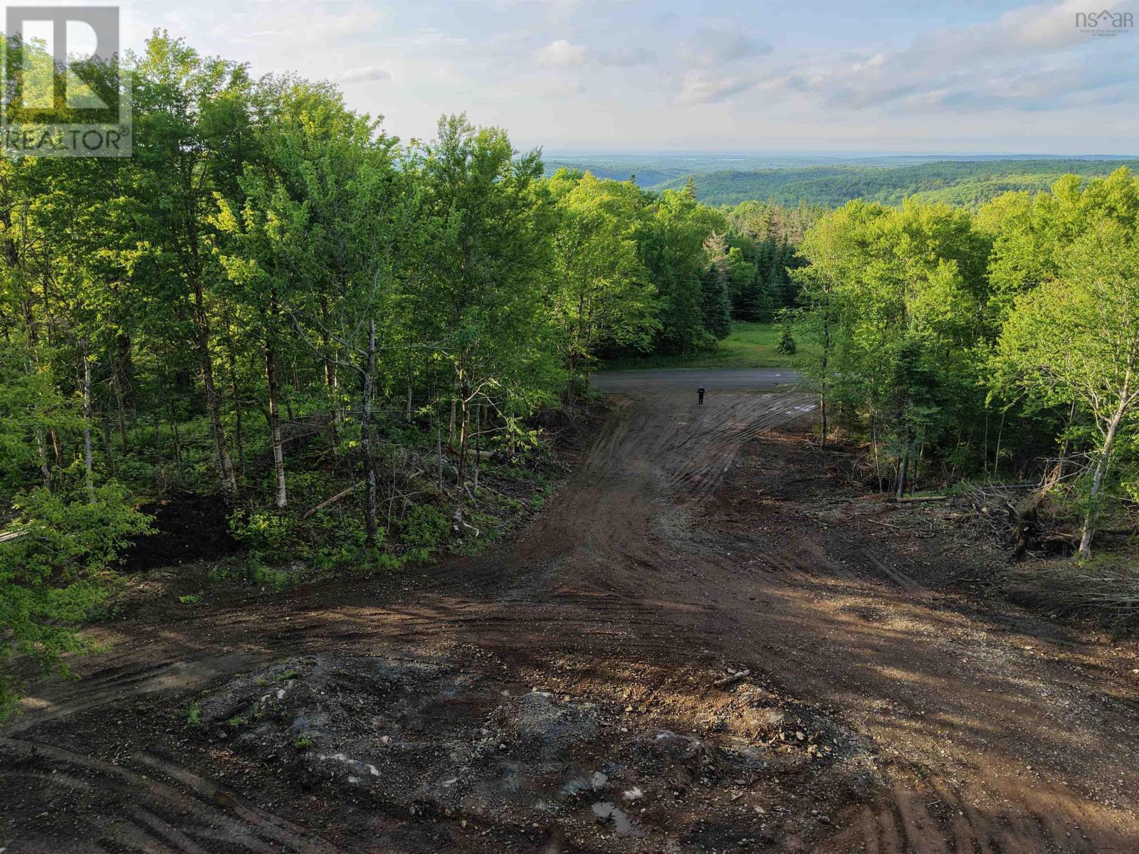 Lot 25-1 J. W. Mcculloch Road, Meiklefield, Nova Scotia  B2H 5C8 - Photo 9 - 202616108