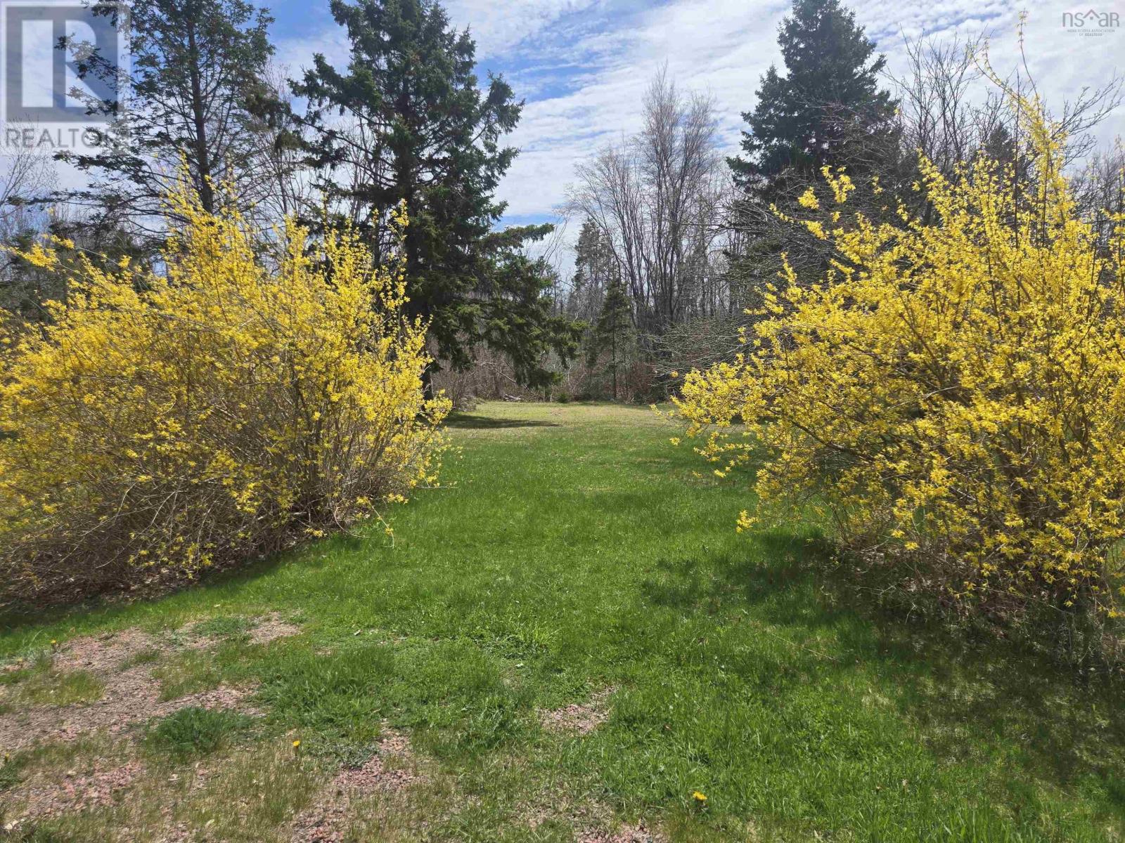 Lot B Malagash Road, Malagash, Nova Scotia  B0K 1E0 - Photo 4 - 202616295