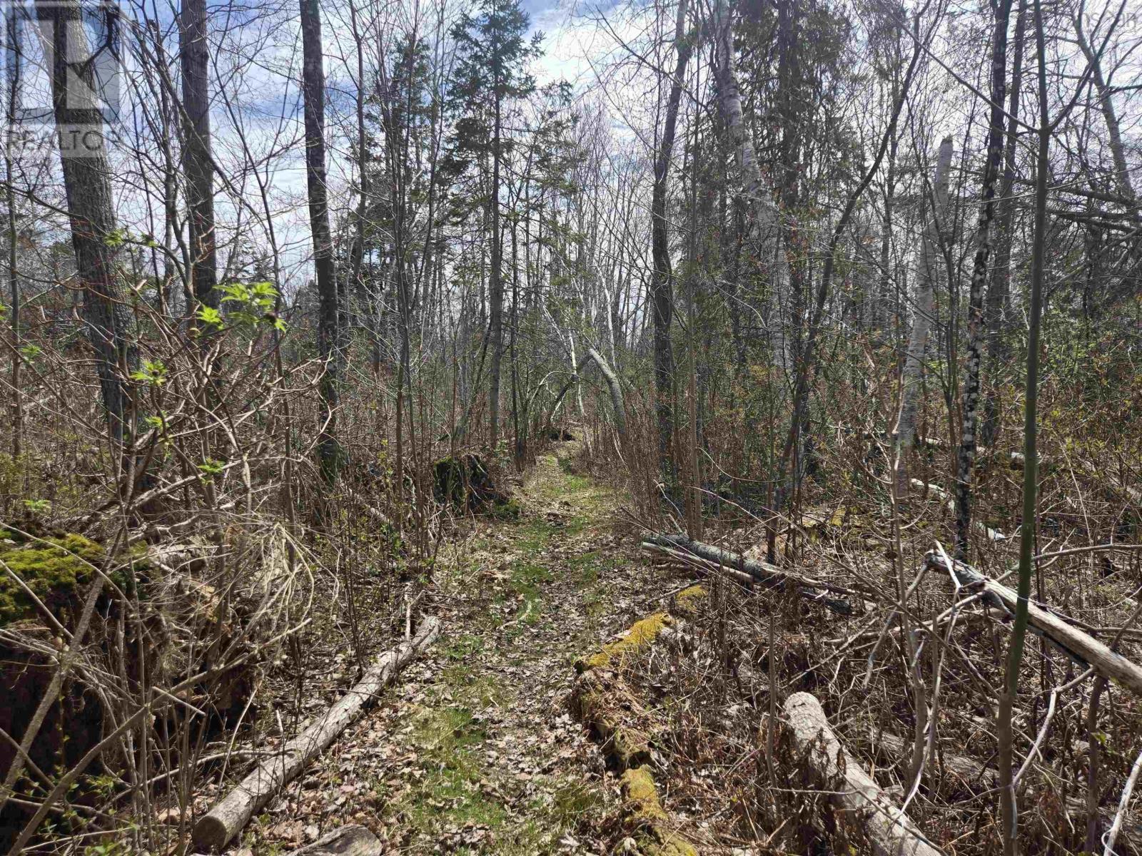 Lot B Malagash Road, Malagash, Nova Scotia  B0K 1E0 - Photo 5 - 202616295